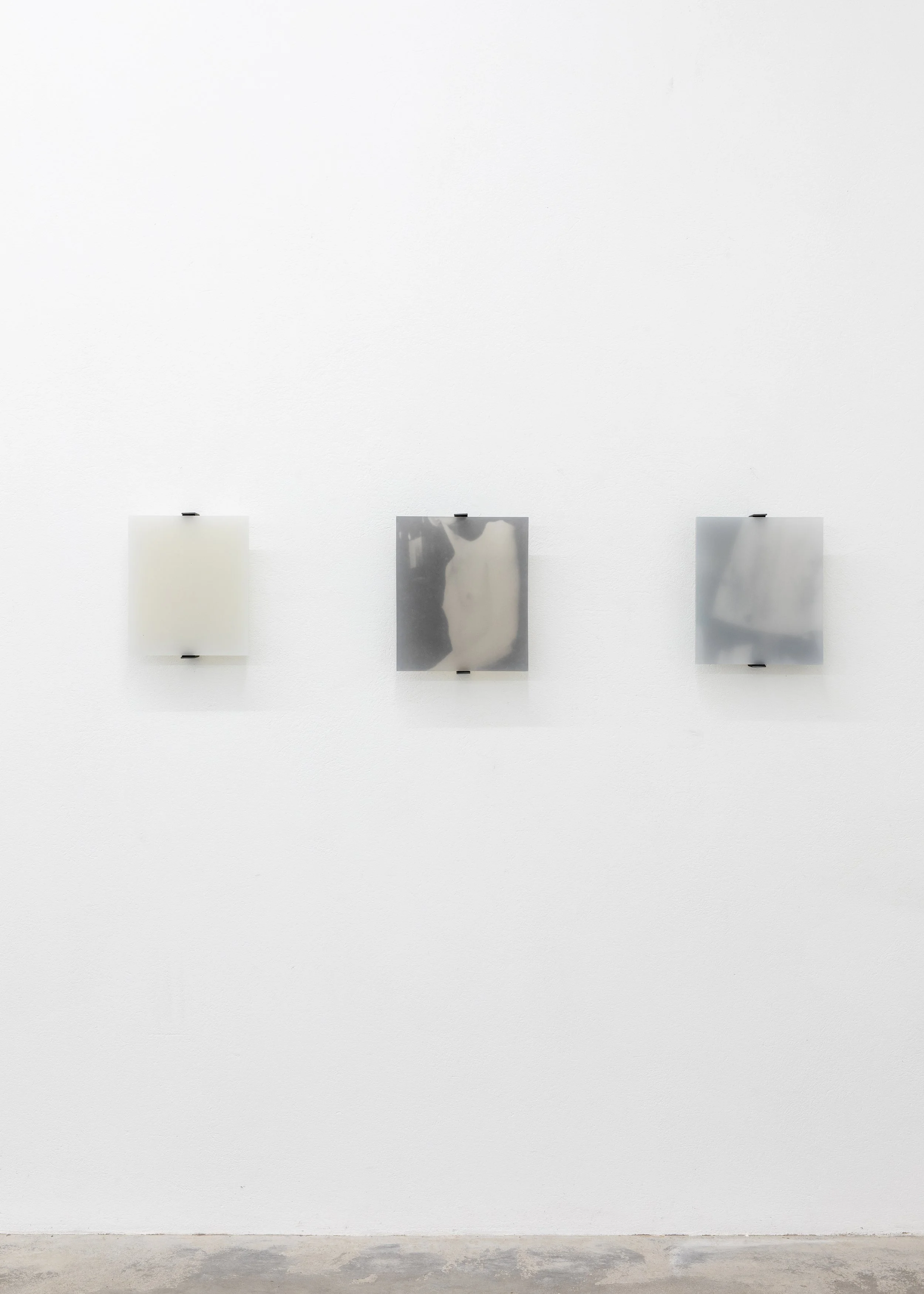 Photo: Helene Toresdotter, from the exhibition Morning Haze at Galleri Arnstedt in Båstad, Sweden, 2025.