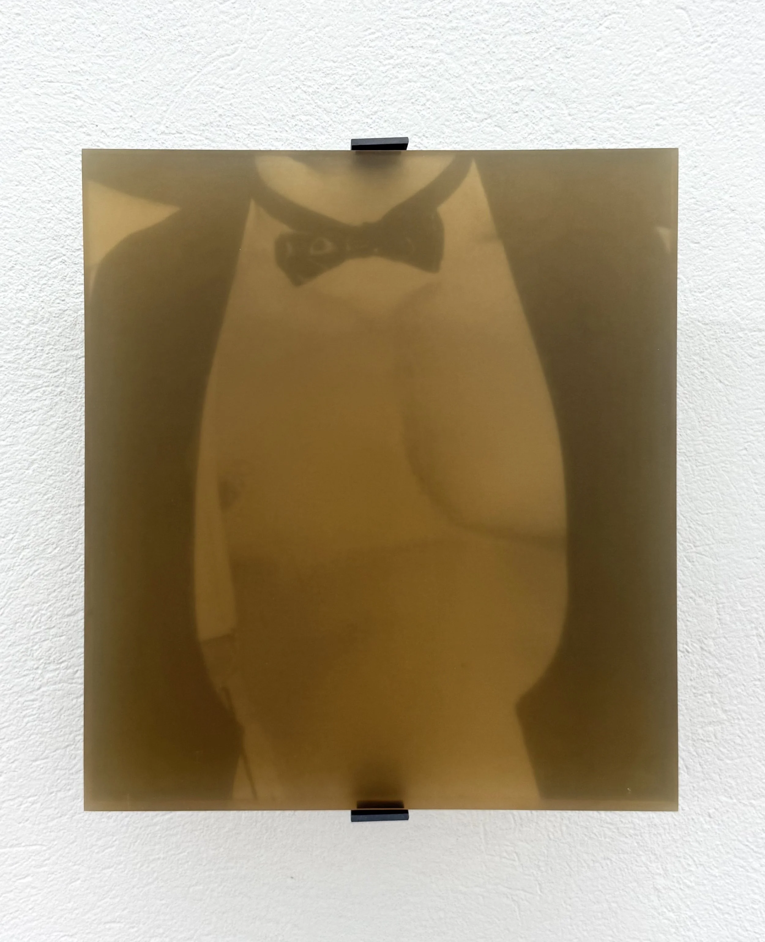 Photo from the exhibition Morning Haze at Galleri Arnstedt in Båstad, Sweden, 2025.