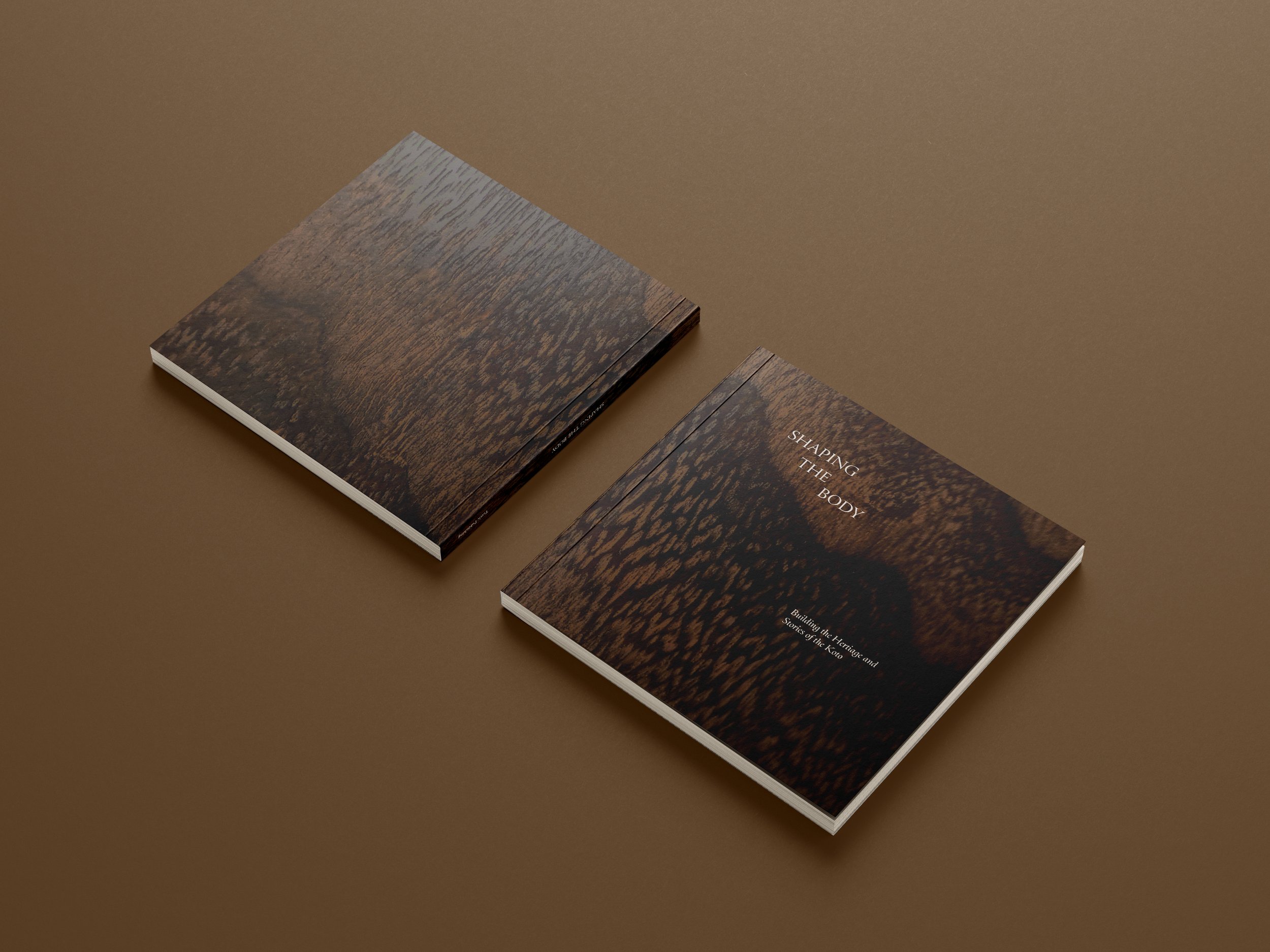 ShapingTheBody_CoverMockup2.jpg