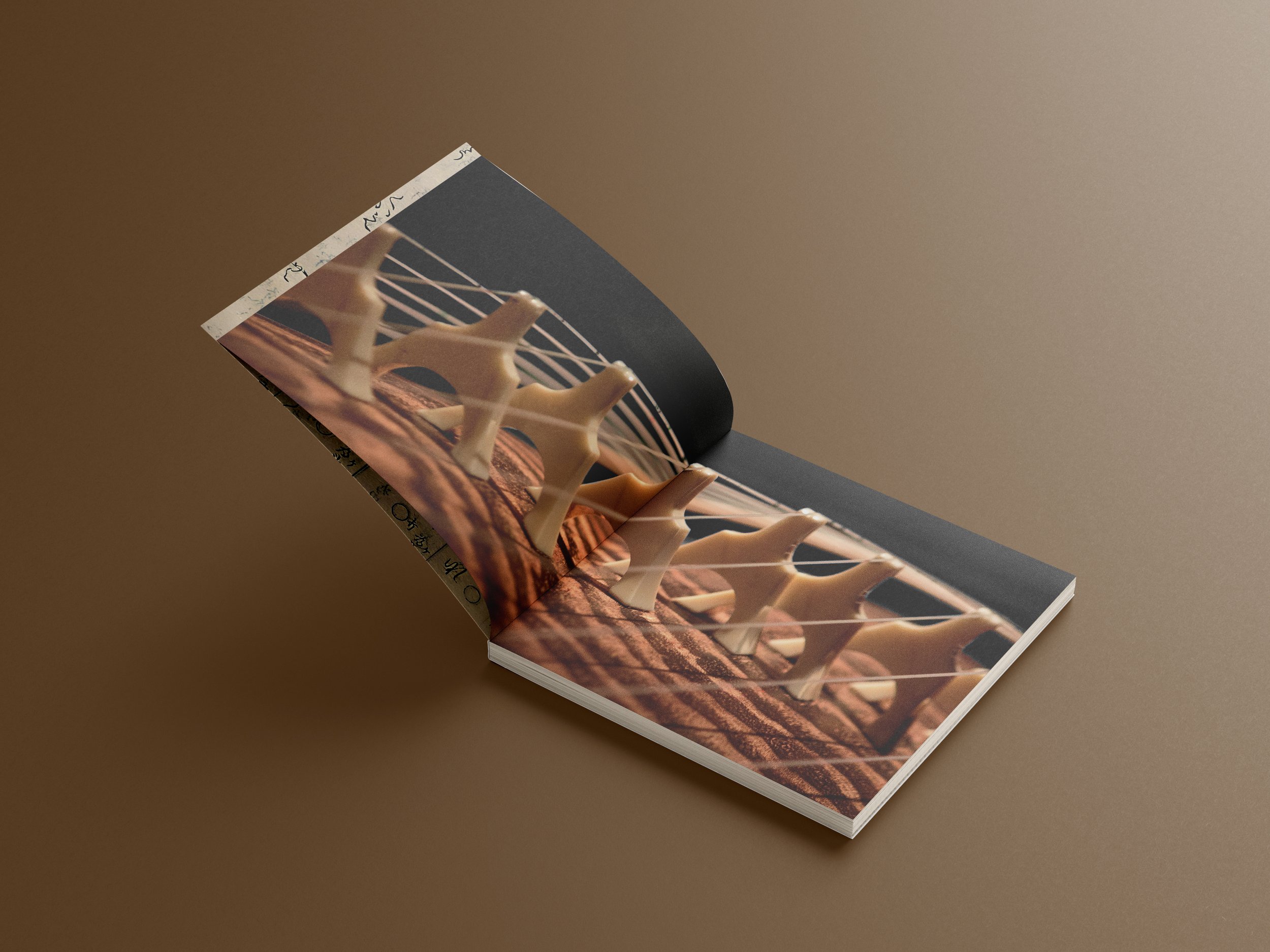 ShapingTheBody_1stSpreadMockup.jpg