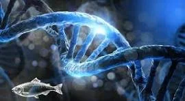 Microneedling with Salmon DNA: Professional, Affordable Skin Rejuvenation