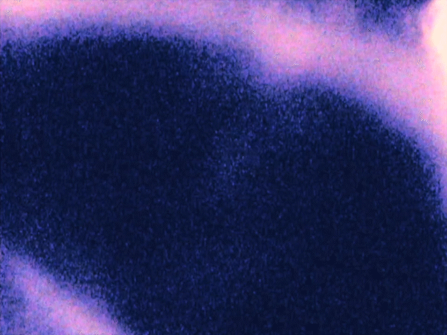 new gallery winner.gif