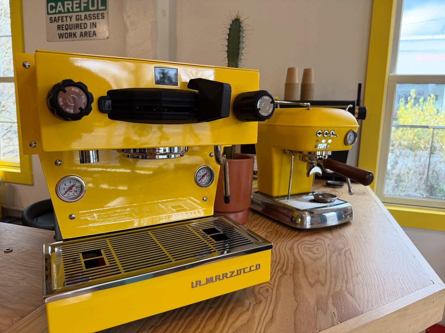 A couple of sunshine buddies to brighten your day 🌞