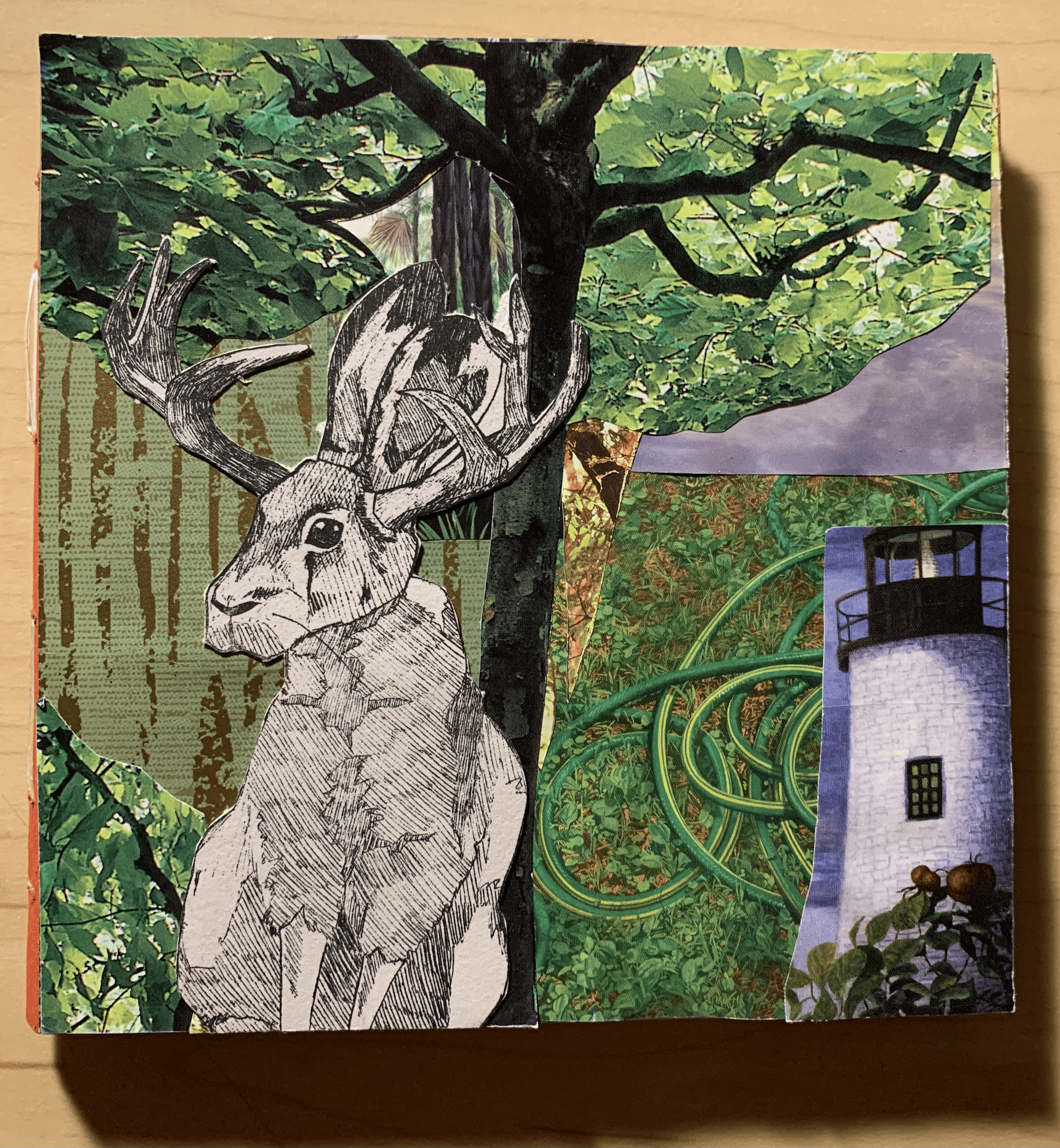 The Jackalope Book, Front Cover