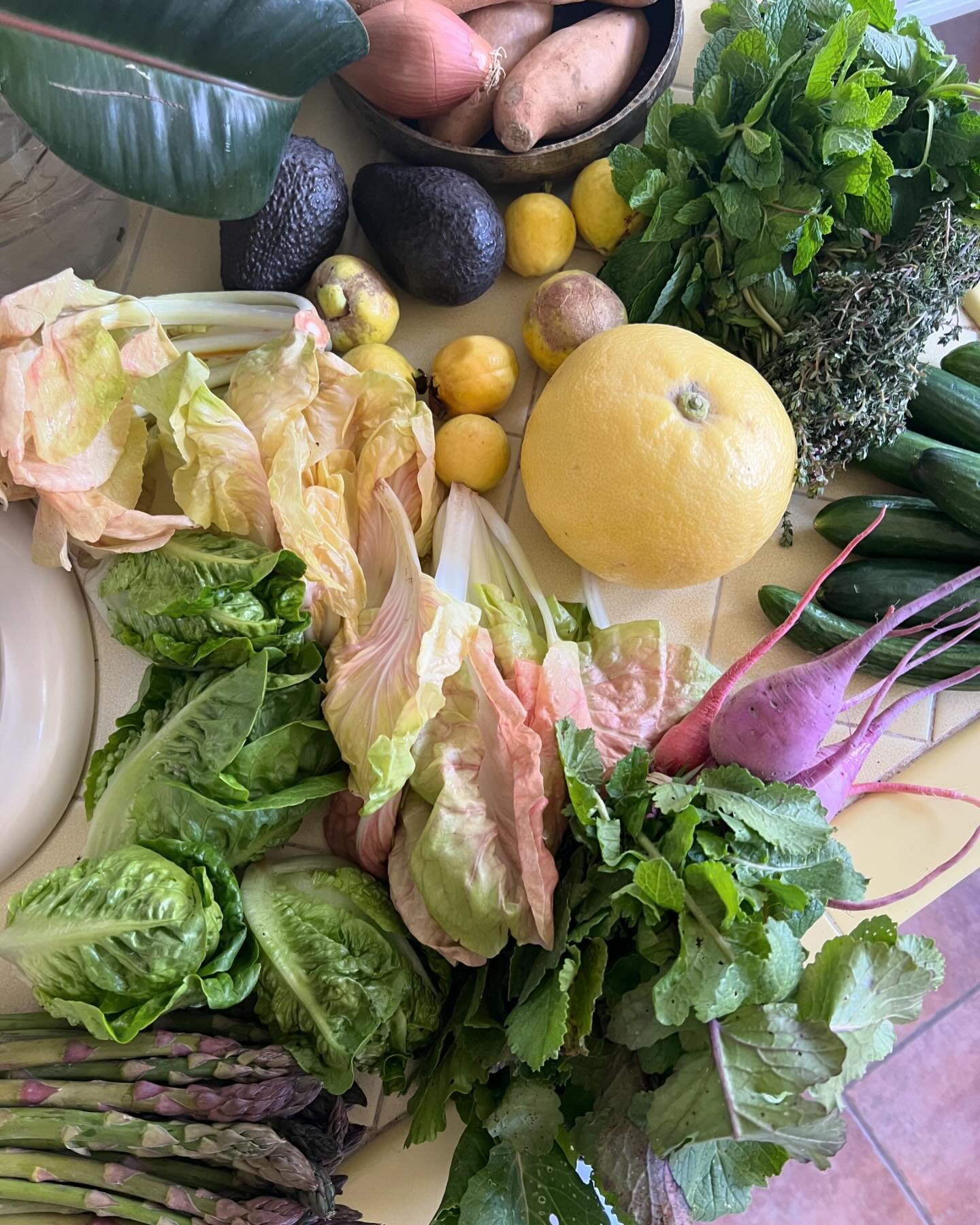 The ecstasy of seasonal produce, spelt and tantric practice 🌱🌸🐣 Delighted to share this special moment in time between me &amp; @raspberry_oil 💛 We connected on IG last summer bonding over our shared love for Hildegard of Bingen, a 12th century m