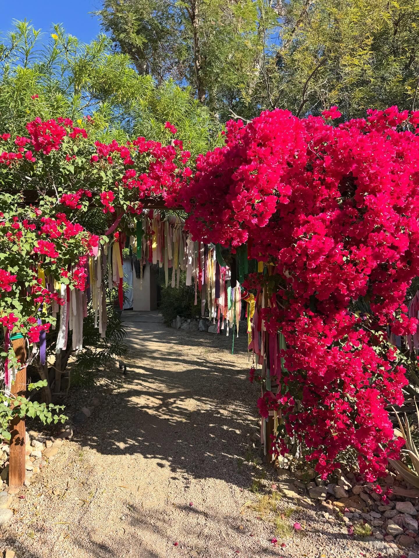 A few weeks ago I checked into @wecarespa 🤲 it was an incredibly supportive &amp; transformative experience. The property is so multi-faceted and prayerful&mdash;from a saltwater pool to a Native American medicine wheel to a labyrinth with Mary grac