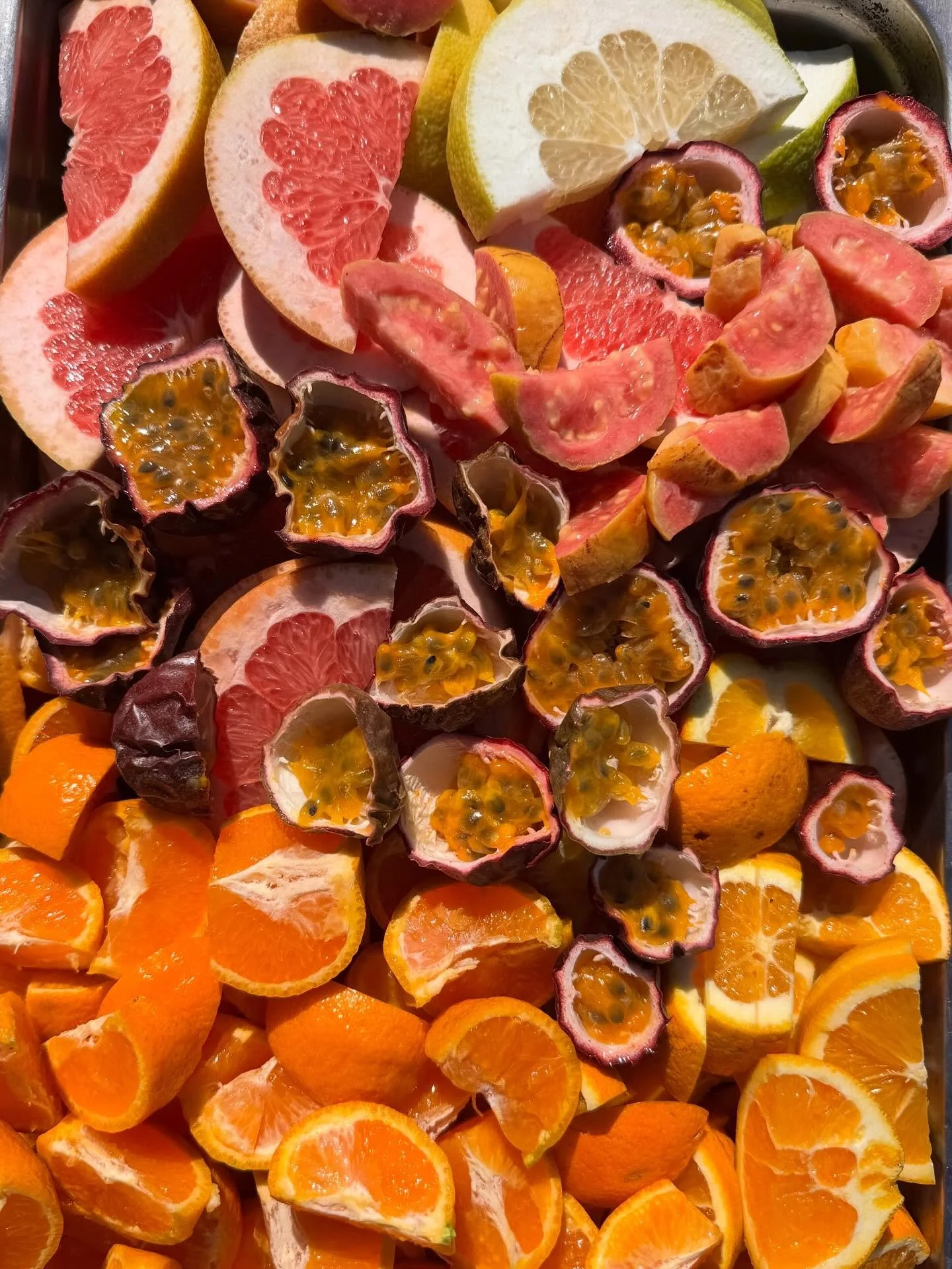 @edenforestcollective fruit, the actual taste of my juicy dreams ❣️🍊🌼🫦💦