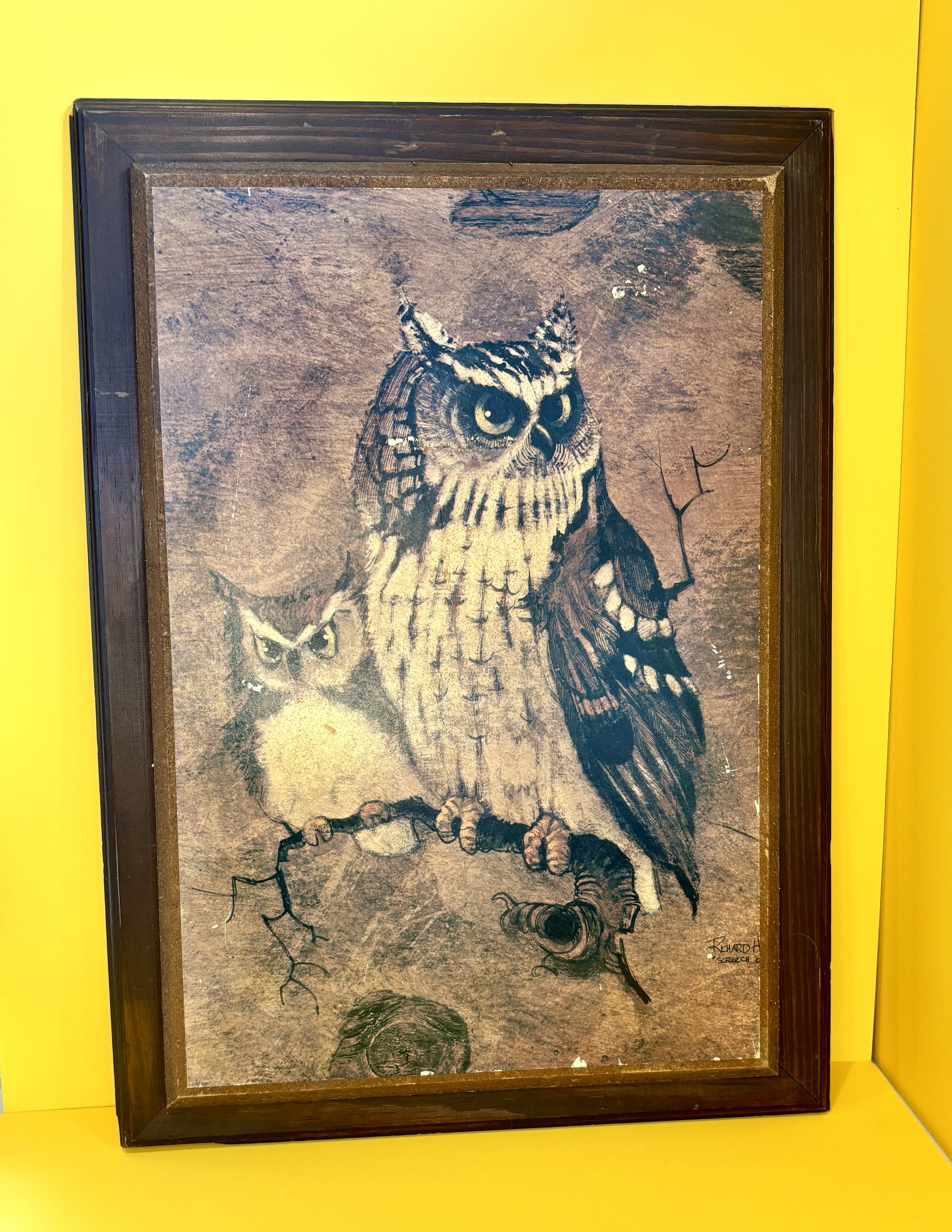 I wouldn't mess with these owls. 