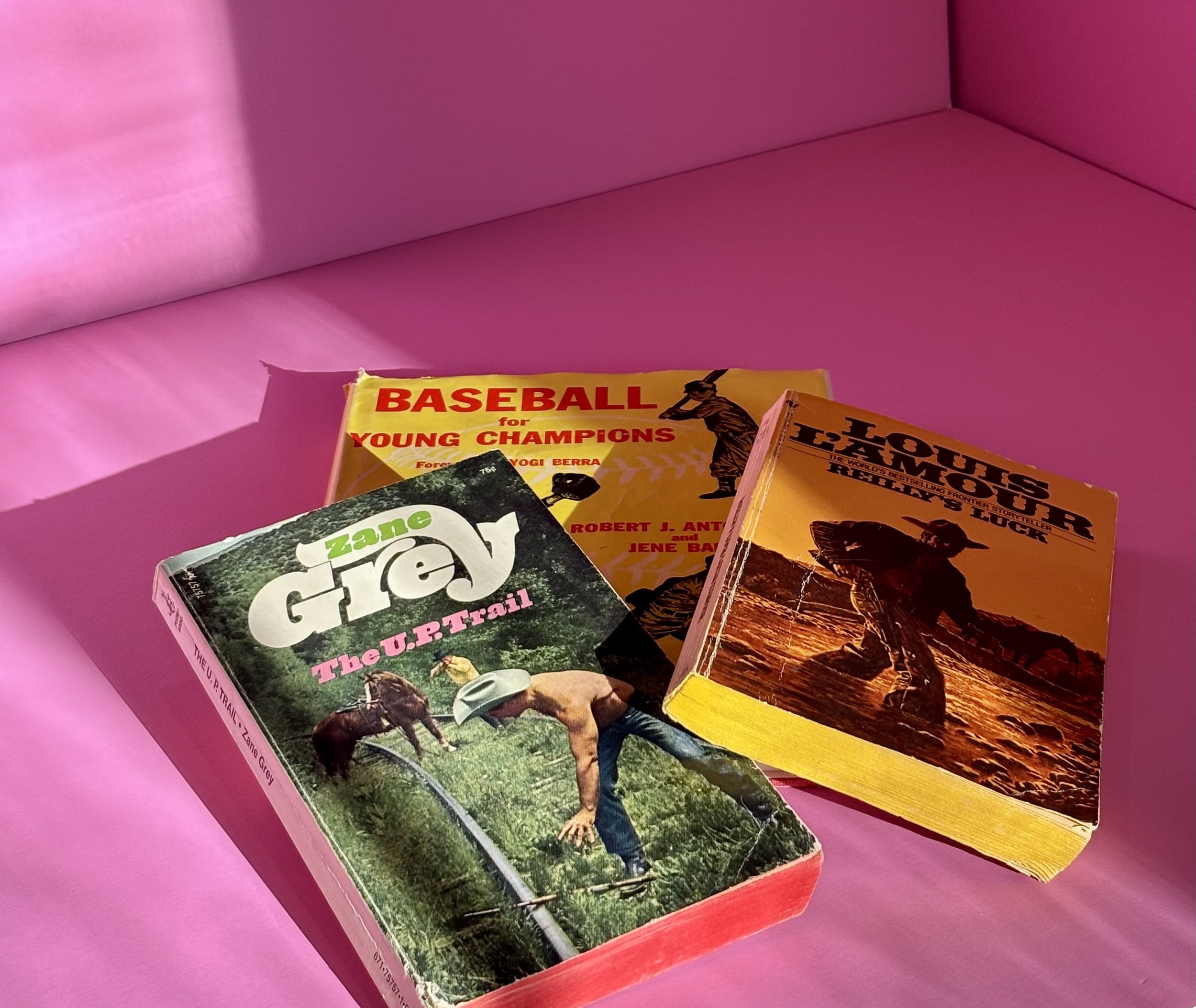Vintage book jackets are so expressive and add instant character and intrigue to a coffee table or bookshelf. 