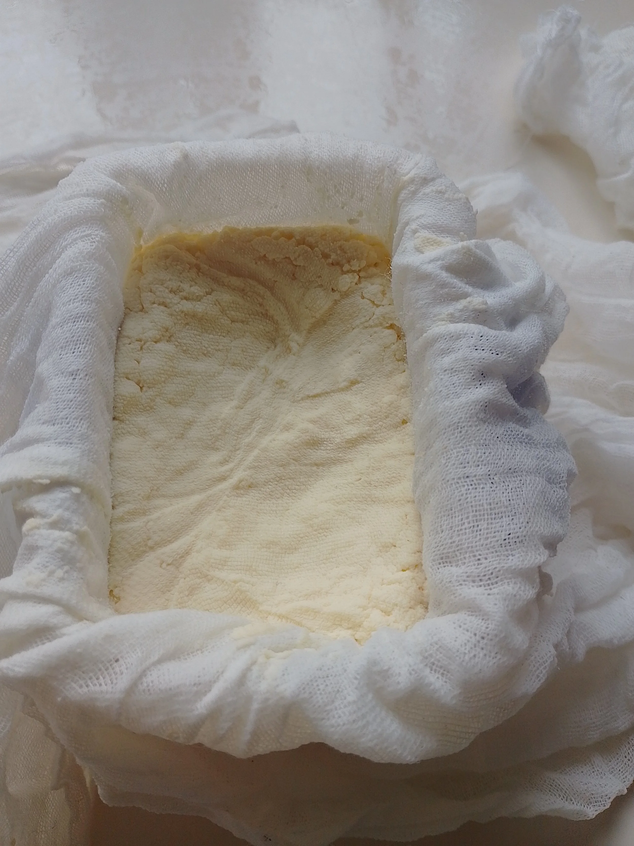 drained paneer.jpg
