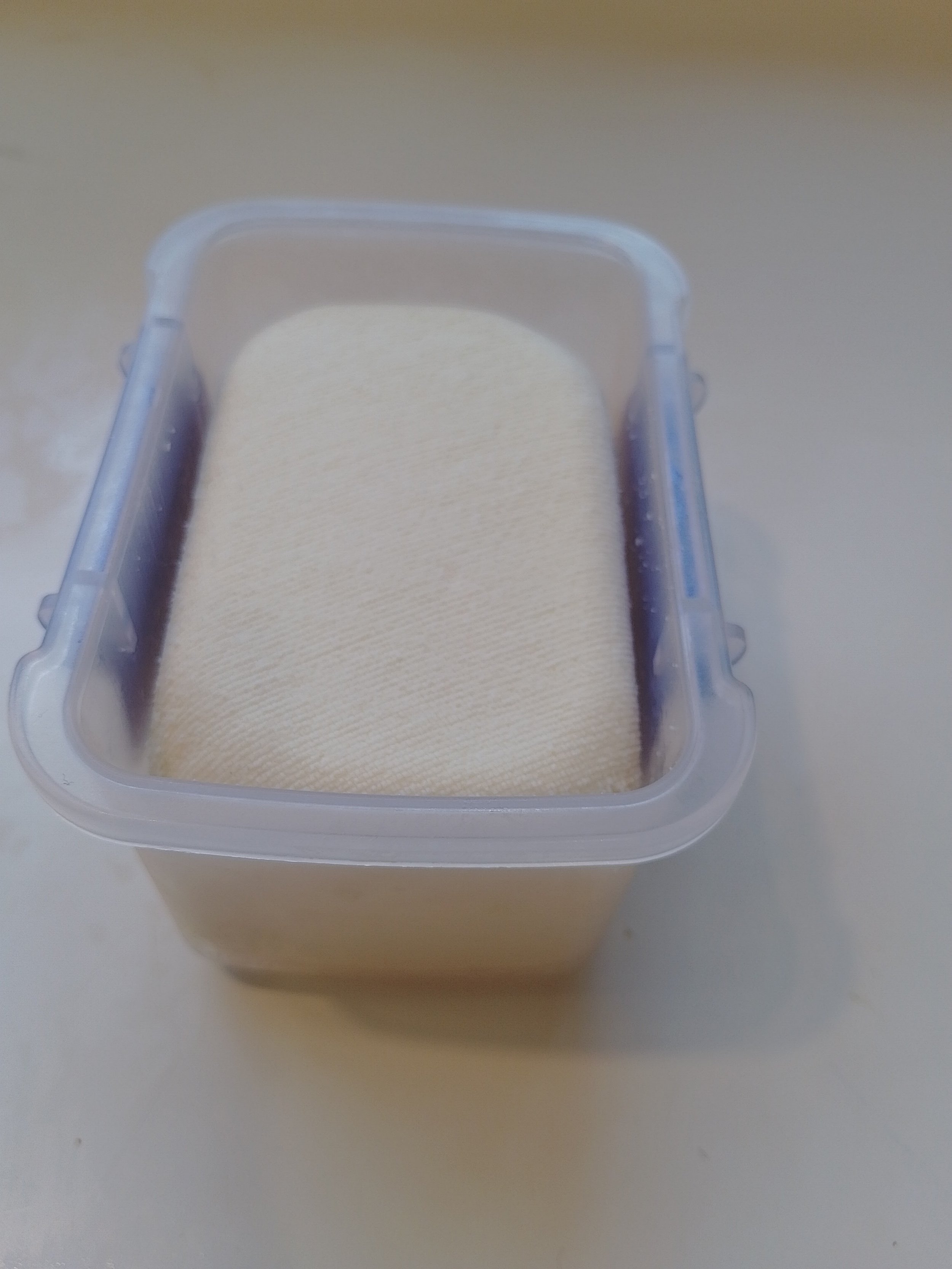 shaped paneer.jpg