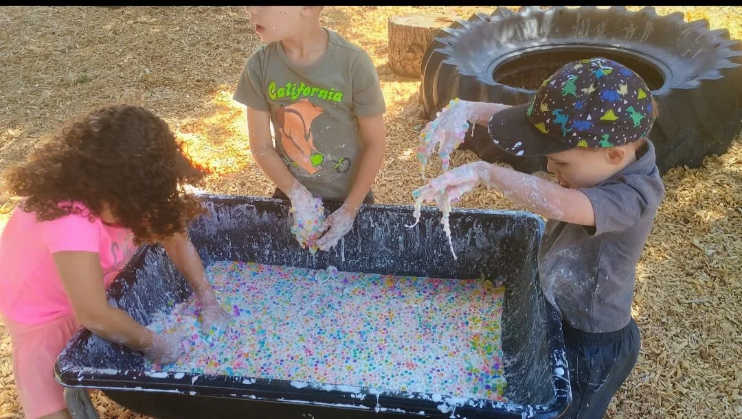 Why is play based curriculum important?