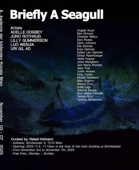 Briefly a Seagull