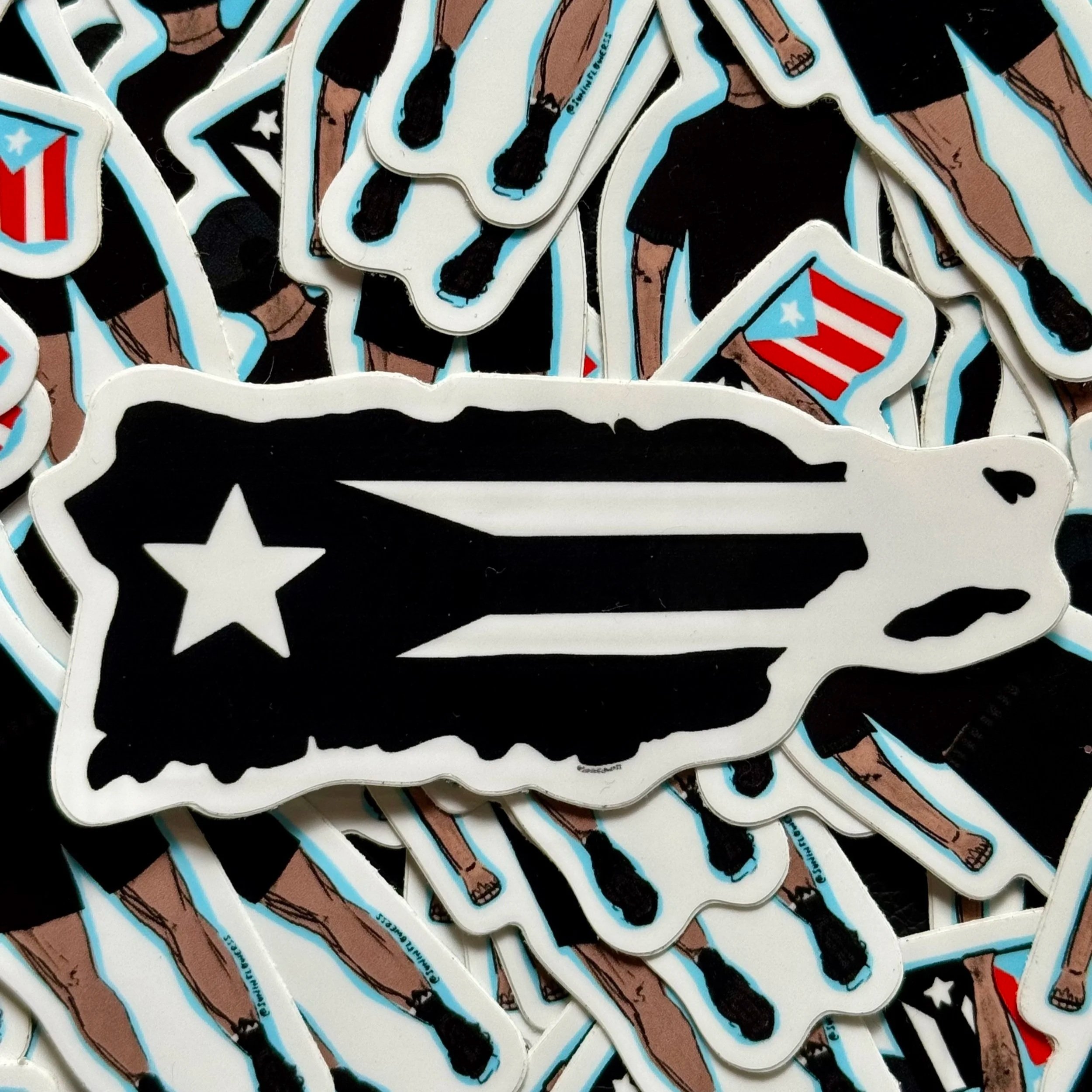 Black and White Puerto Rican Nationalist Flag