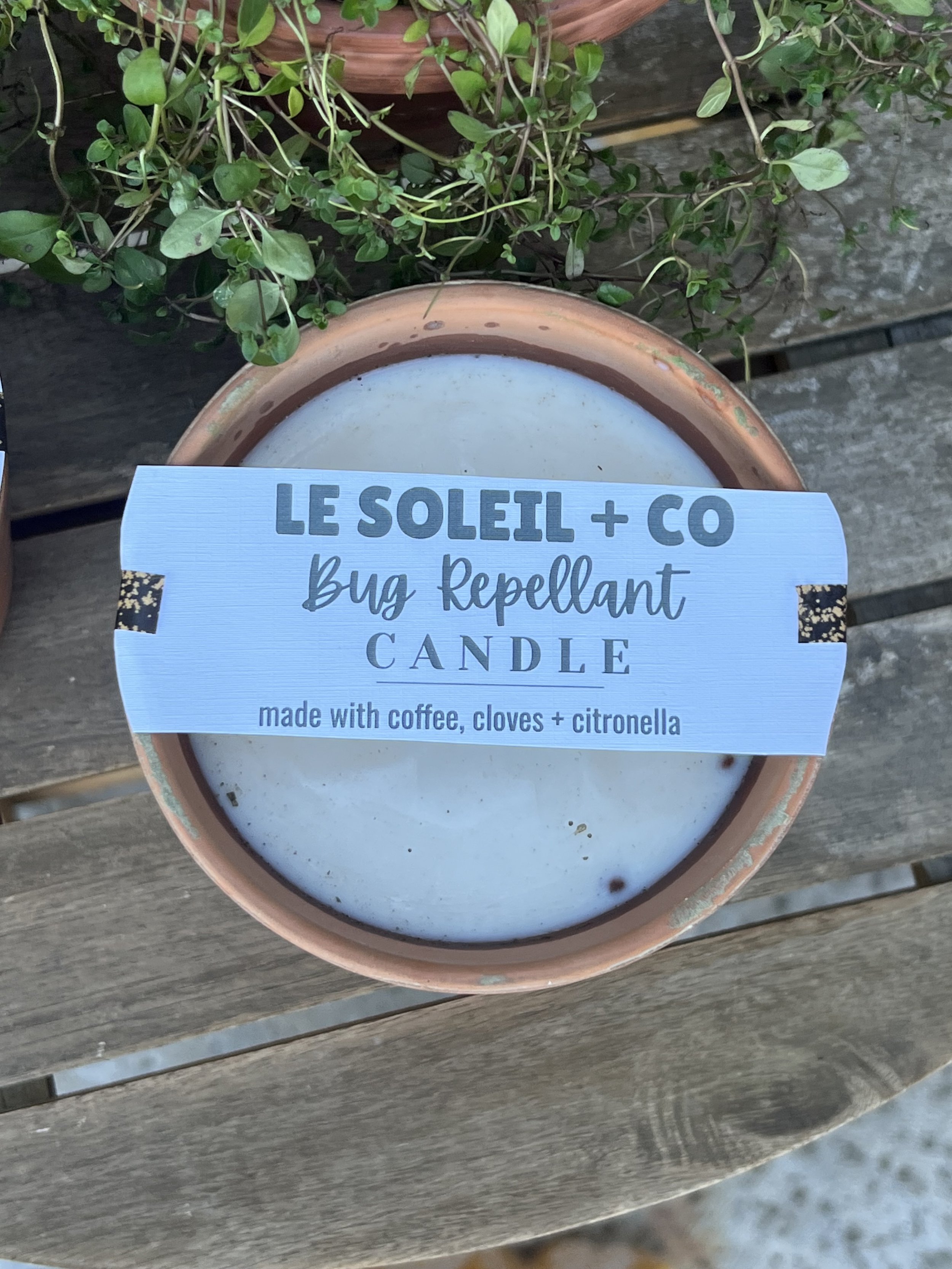Terra cotta bug repellent candle