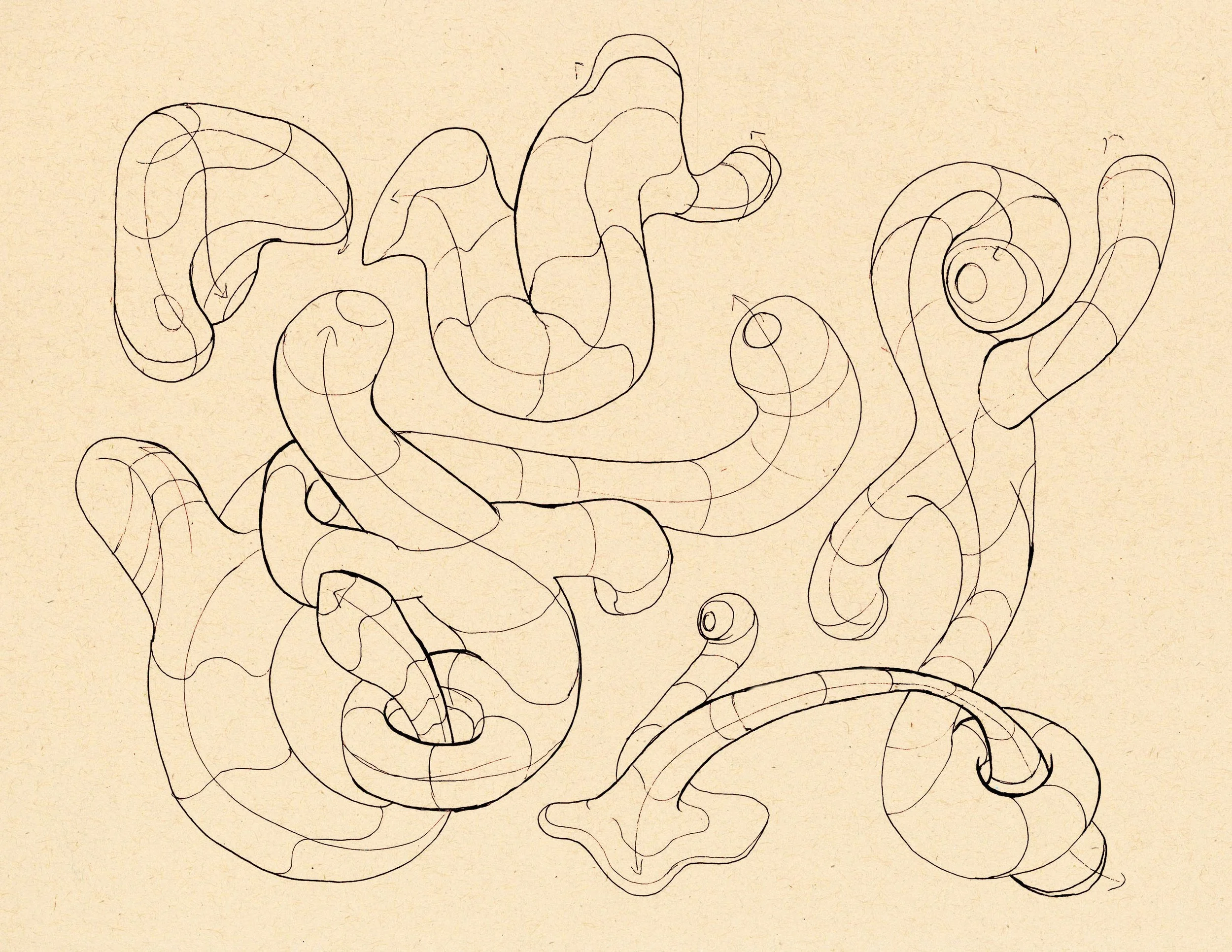 · Shape with Contour Lines · Aug. 2025 · 8.5 x 11 in. · Pen & ink ·