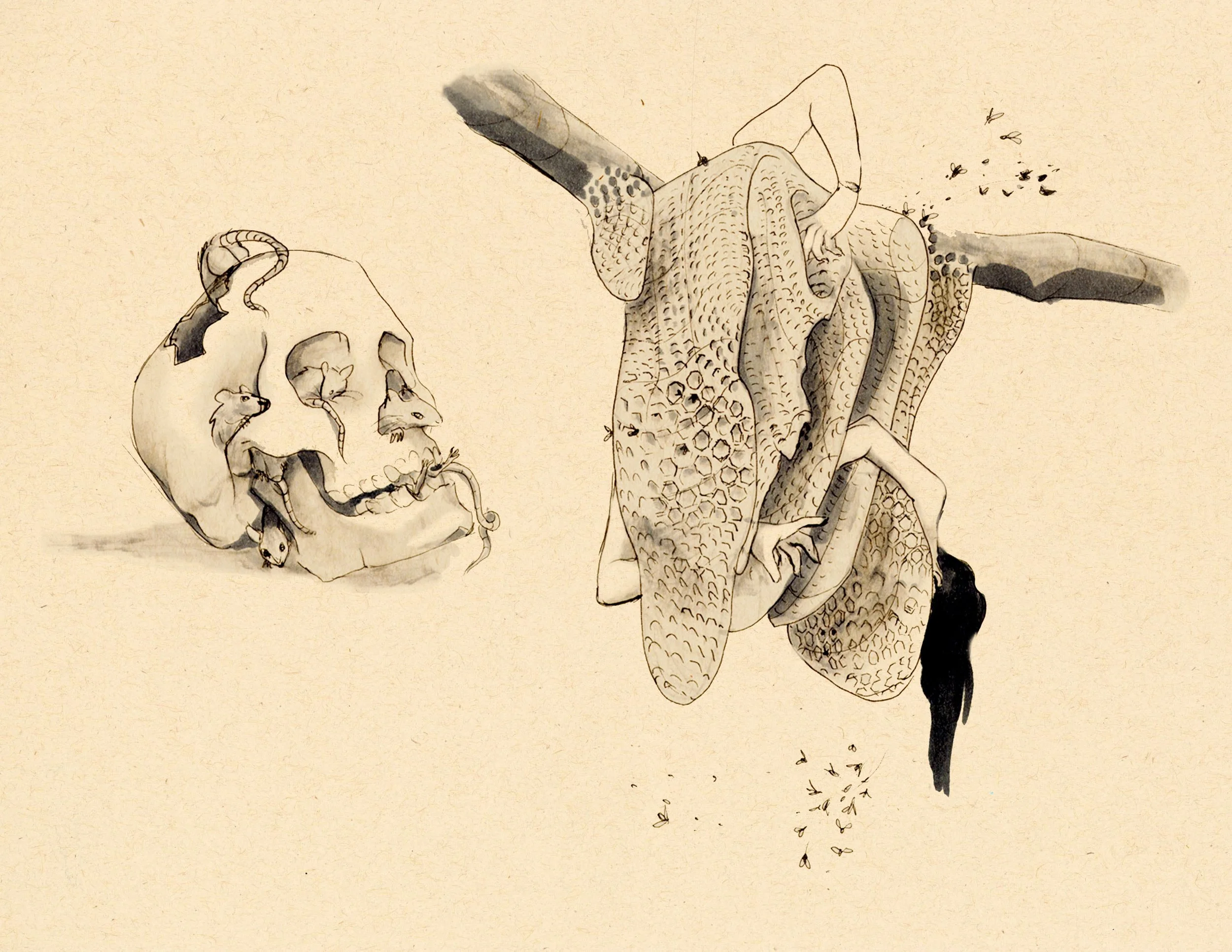 · Dissected Forms II · Aug. 2025 · 8.5 x 11 in. · Pen & ink, marker ·