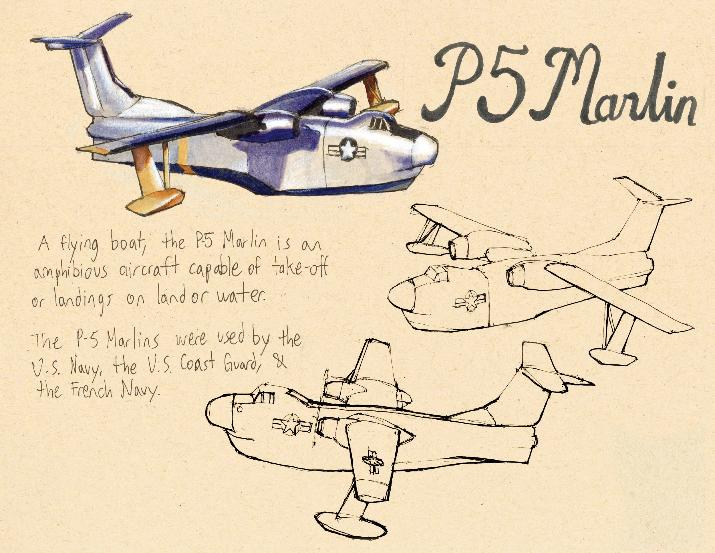 · P5 Marlin · Aug. 2025 · 8.5 x 11 in. · Pen & ink, marker, white color pencil, watercolor ·