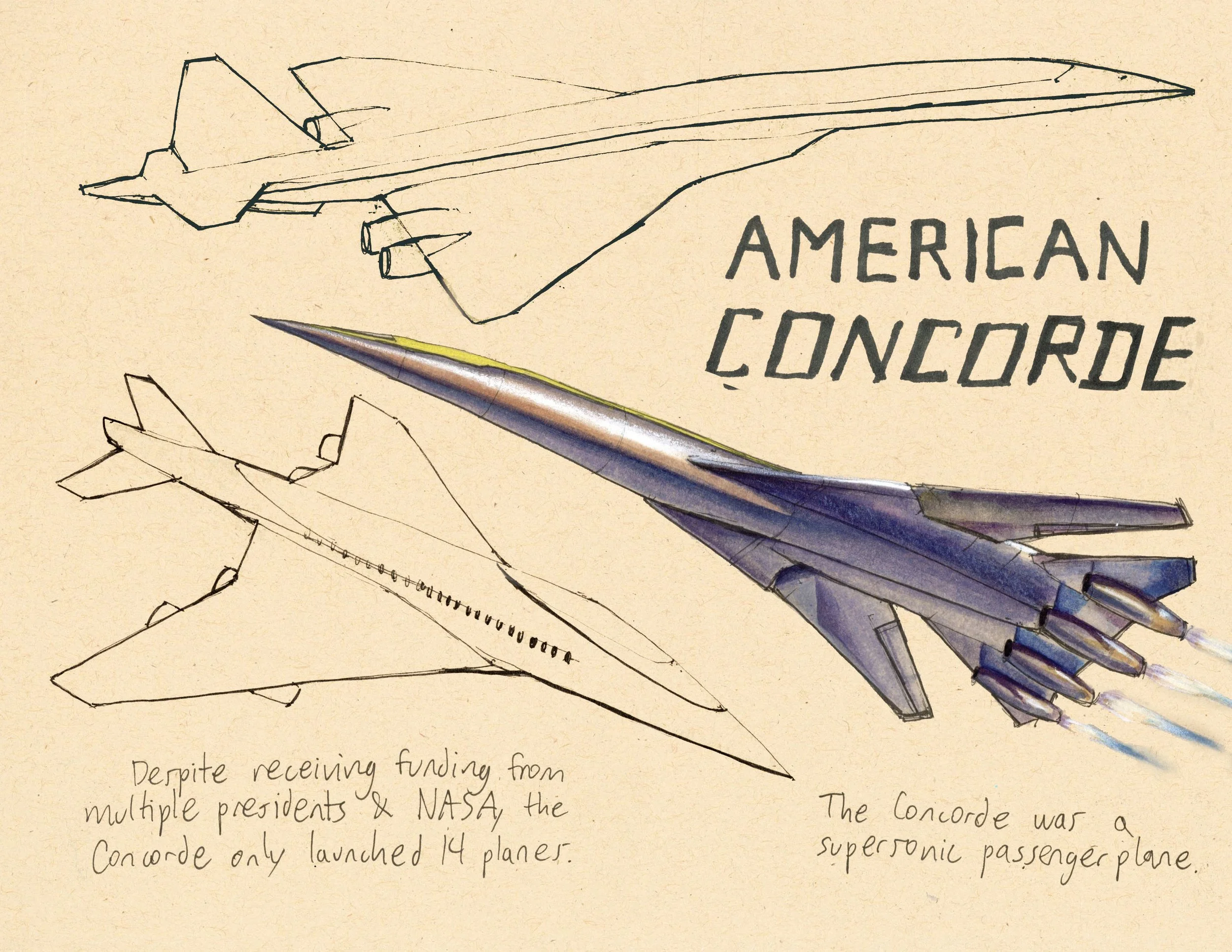 · American Concorde · Aug. 2025 · 8.5 x 11 in. · Pen & ink, marker, white color pencil, watercolor ·