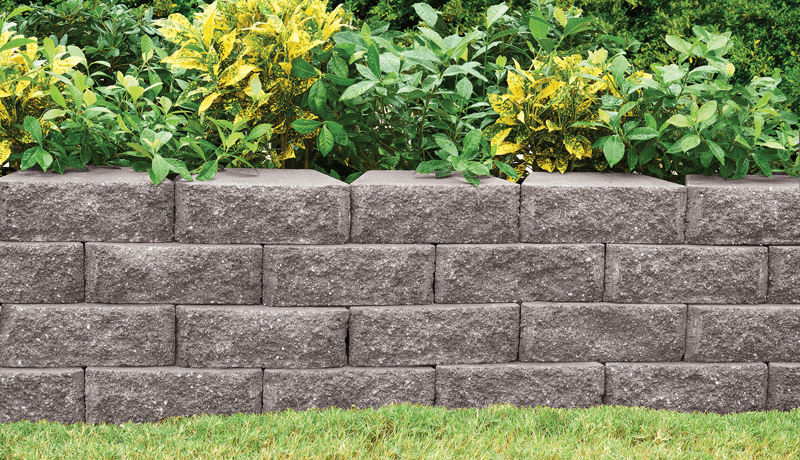 Garden Wall.png