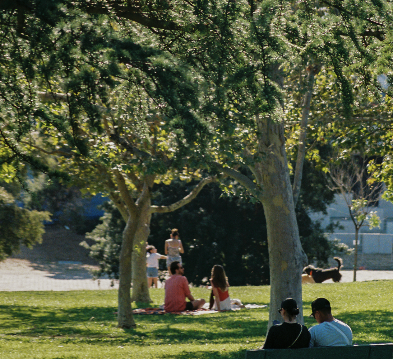 Families Lunch at the Park 