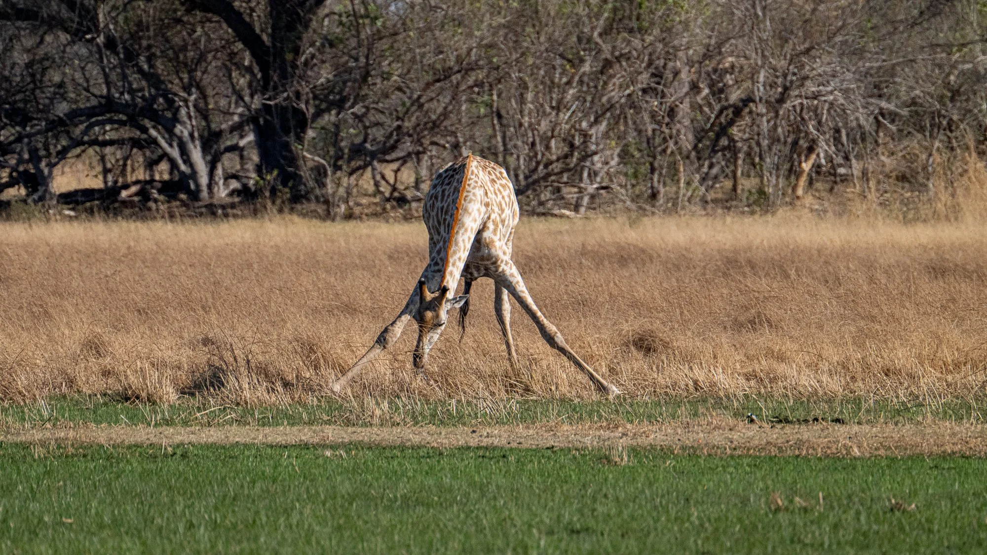 80214-Ian Walls-September 05, 2024.jpg