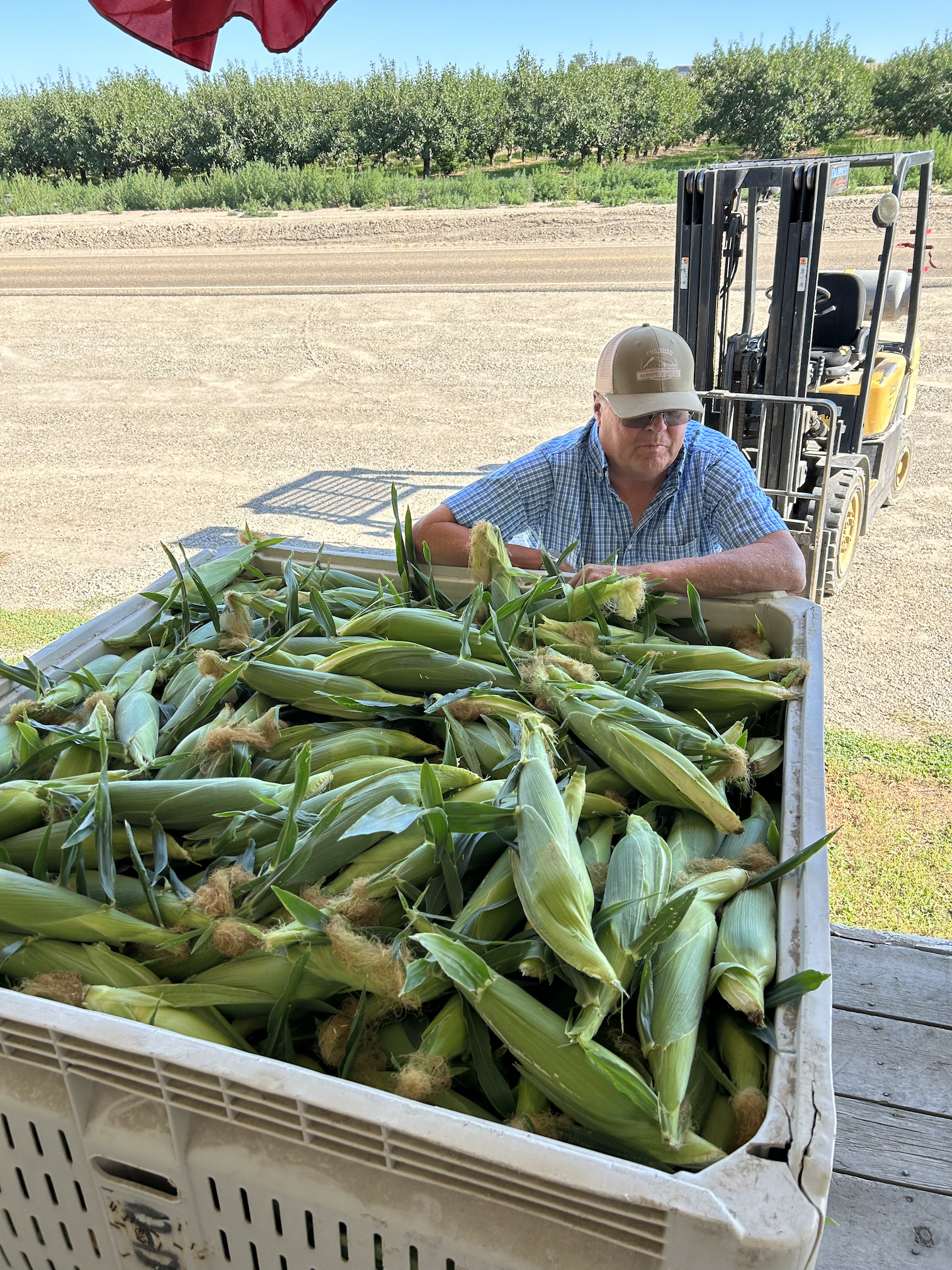 loading in corn.png