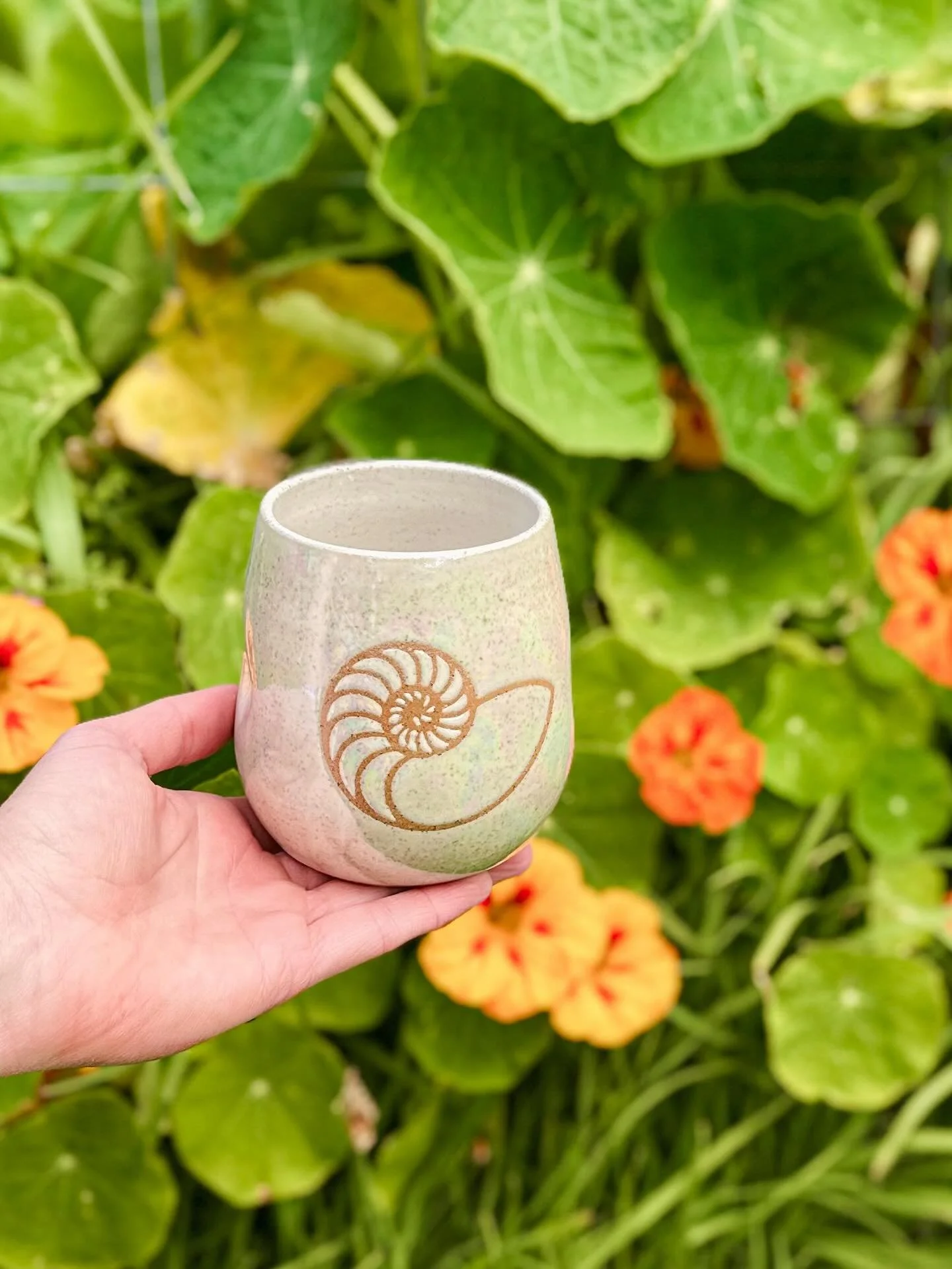 🐚 The nautilus spiral holds a place in my heart&mdash; it&rsquo;s a universal symbol of growth - physically, emotionally and spiritually. And if you know me, you know I&rsquo;m a frother for personal growth.

Each chamber expands in harmony, just li