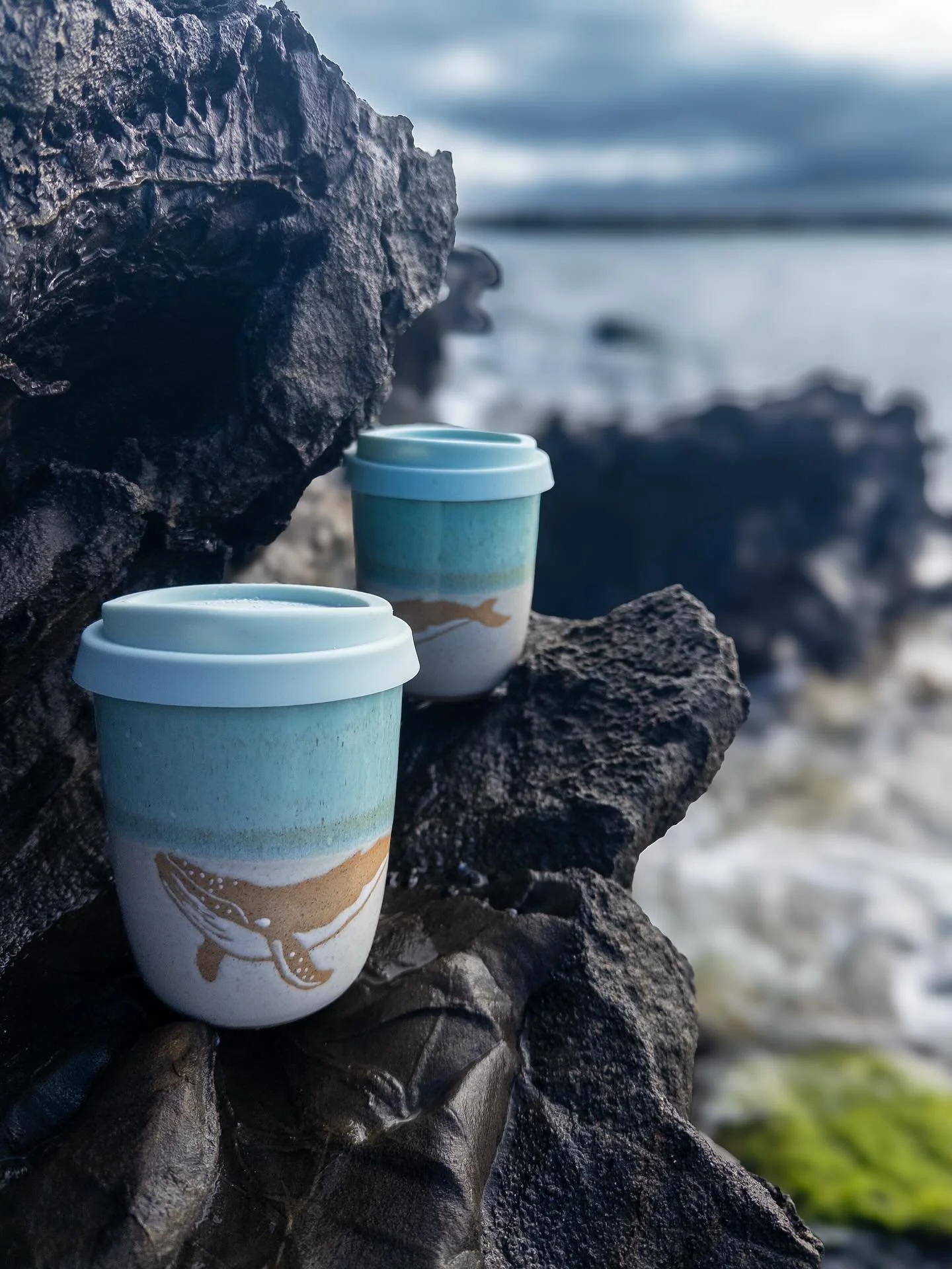 Such a special time of year sharing the Southern Ocean with these wise wonderful beings. 
Feeling the urge to spend a slow day by the sea to just be and observe.
