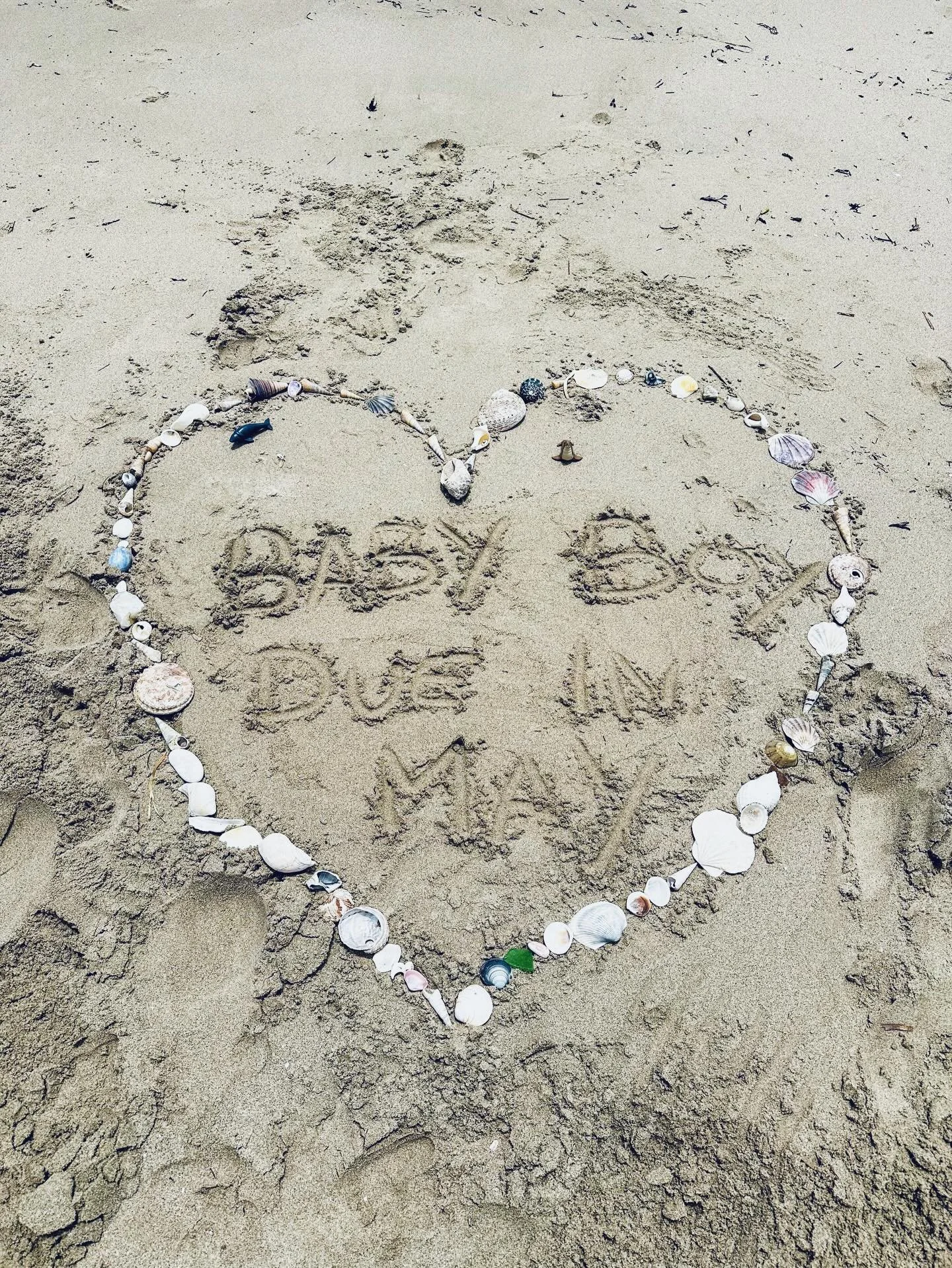 Our little fam is growing 🤍🩵

It&rsquo;s going to be a cosy winter 💕