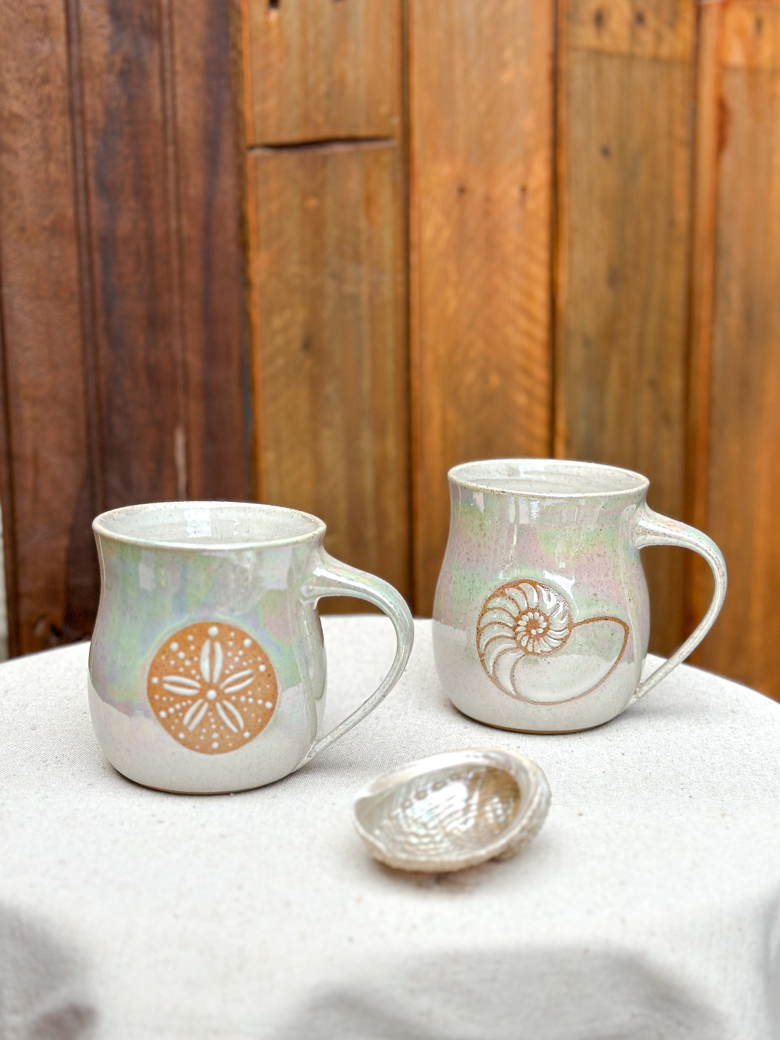 Sand Dollar Belly Mug