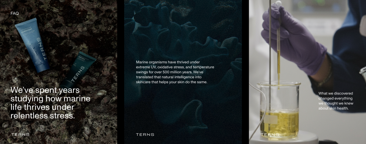 Screenshot 2026-02-13 at 3.42.55 PM.png