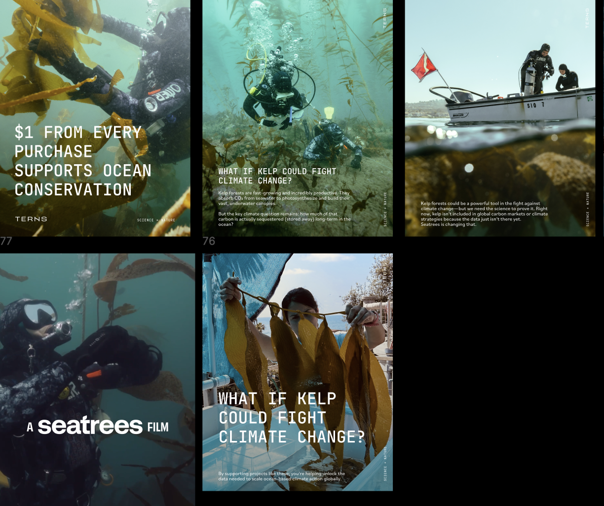 Screenshot 2026-02-13 at 6.45.05 PM.png