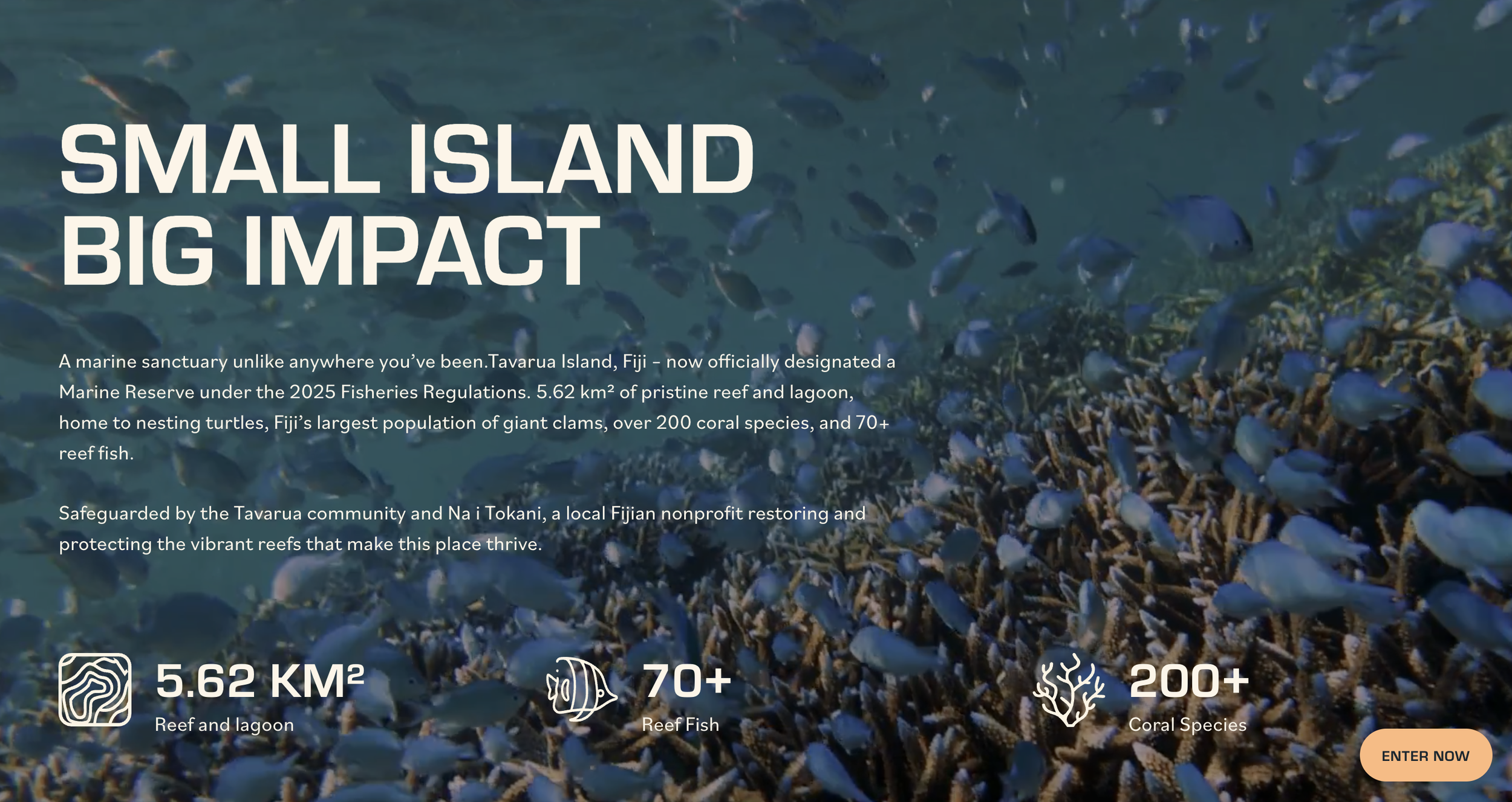 Screenshot 2026-02-14 at 12.03.28 PM.png