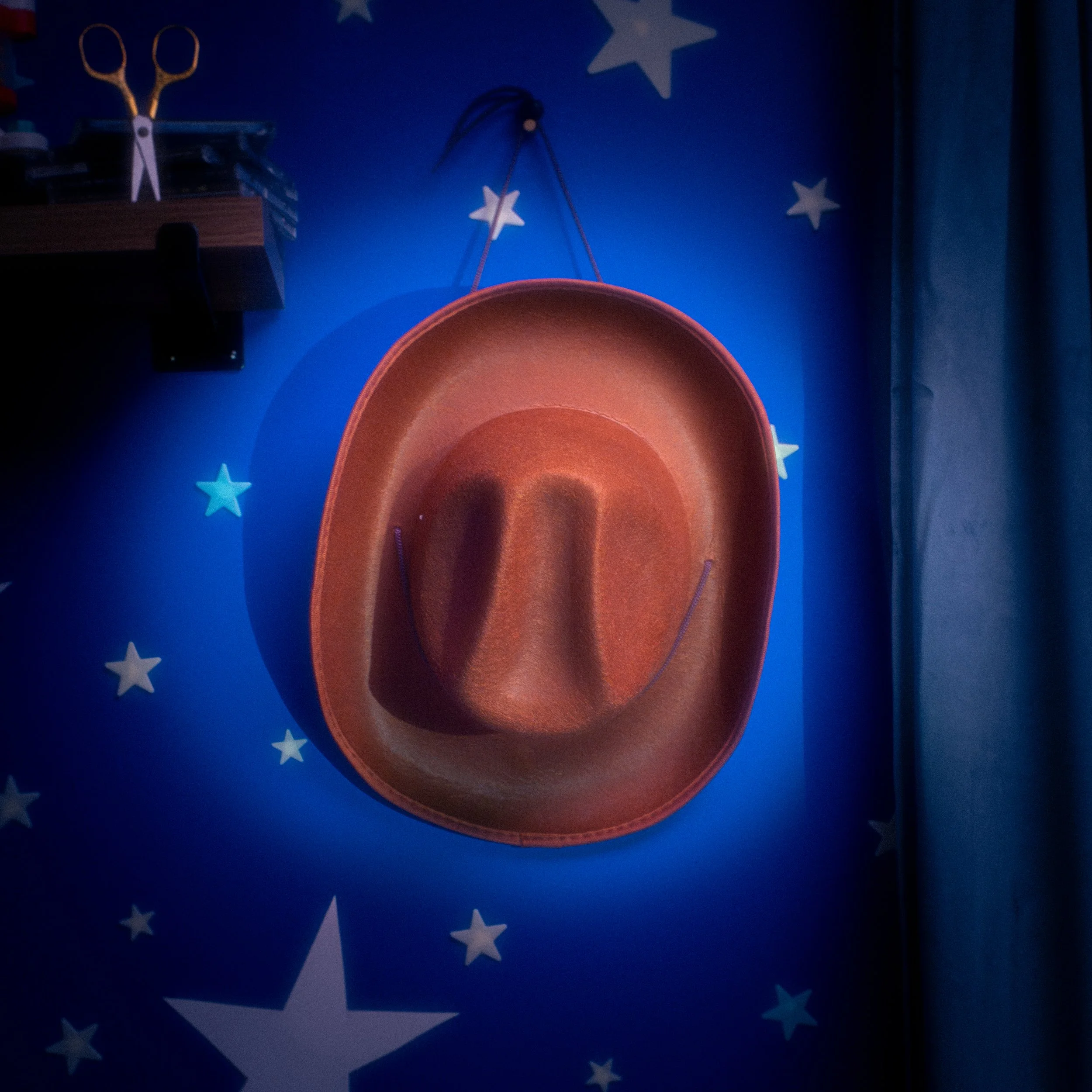 Cowboy Hat Cover.jpg