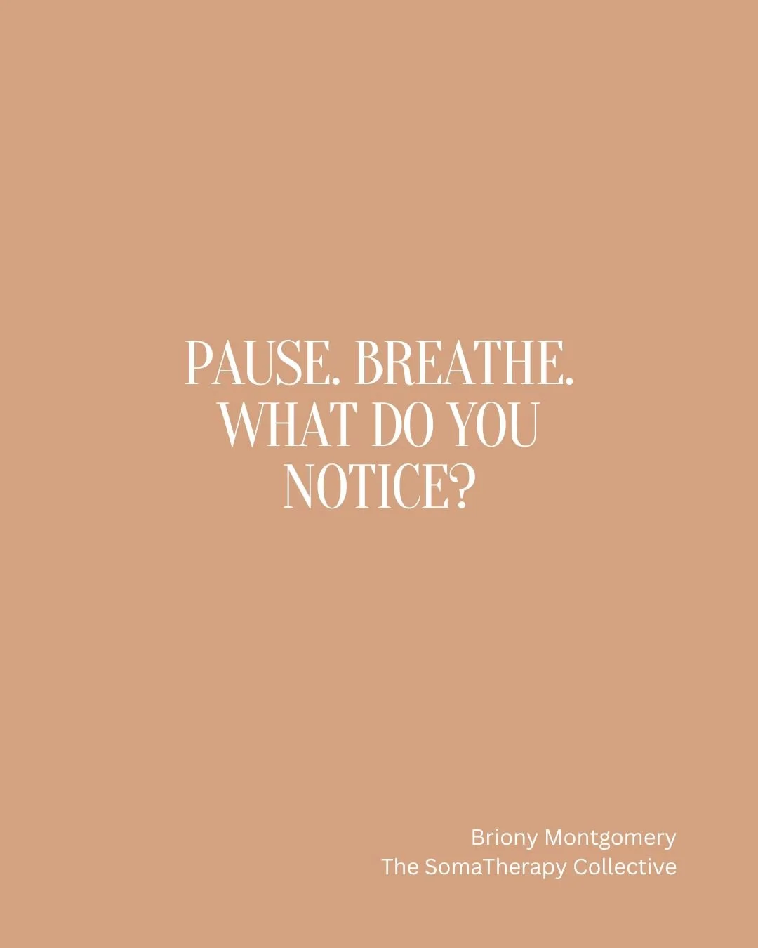 Reminder to stop and be with your breath. What do you notice around you?
What sensations do you notice in your body? 
Be with what is here 

Join me for my 21 Day Nervous System Reset Early bird pricing ending soon : LINK in BIO

 #MotherWoundHealing