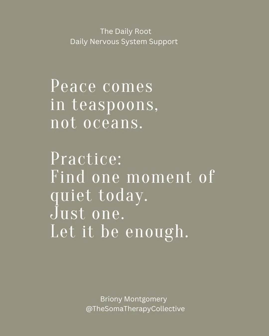 If you&rsquo;re tired, overwhelmed, or carrying more than your share&hellip; The Daily Root is where you start.

Gentle, accessible practices to help you regulate, release, and reconnect.
Subscribe now and begin your return to yourself.
Link in BIO
 