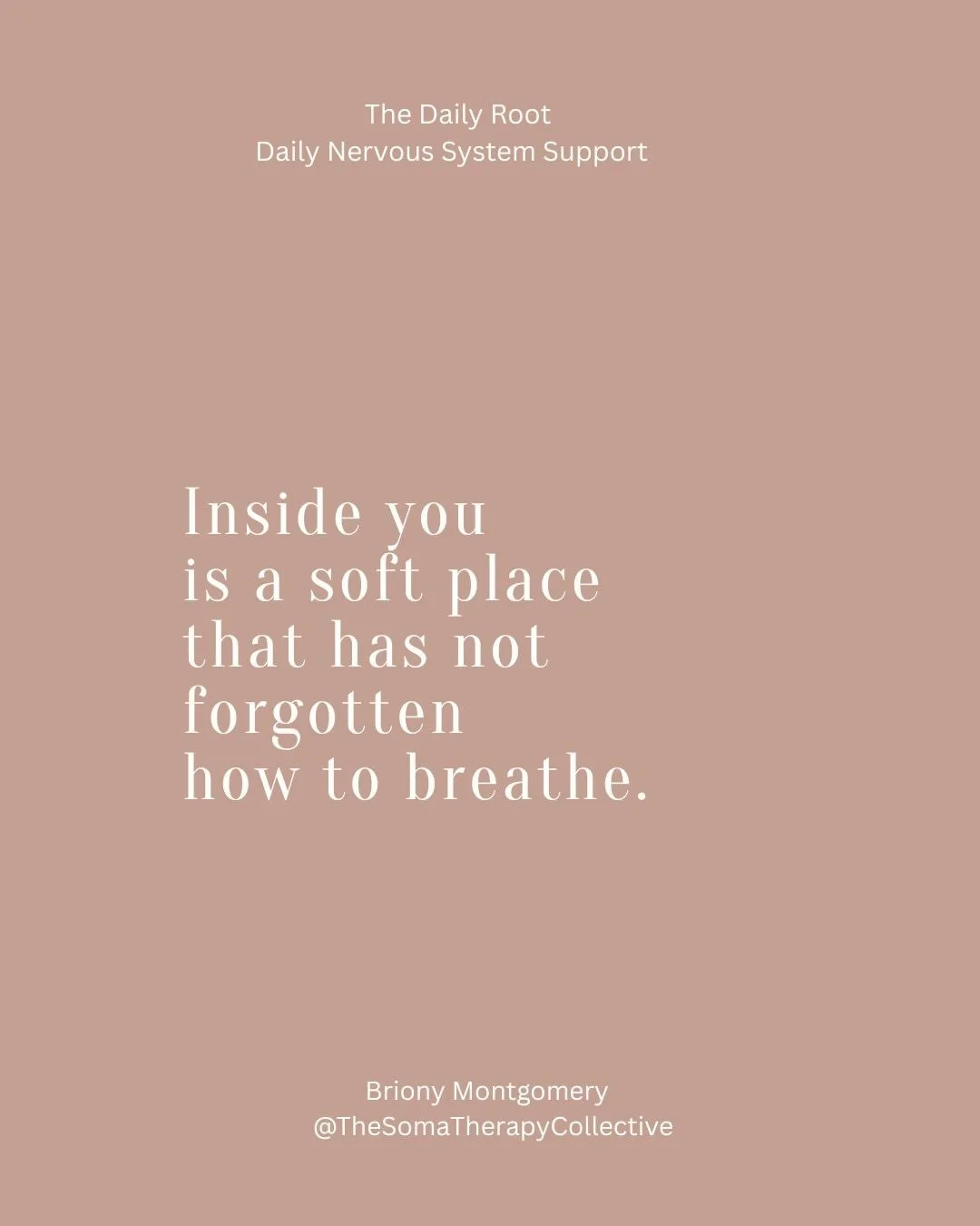 One daily nervous system reminder.
One moment of grounding.
One shift in how you meet the world.

That&rsquo;s The Daily Root.
Subscribe and let your body exhale.
Link in BIO

 #RiseUpWomen #MotherWoundHealing #SomaticTherapy #ReclaimYourPower #Embod
