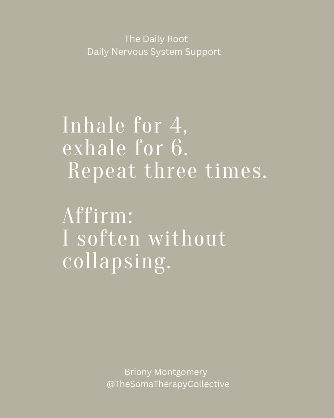 Your healing doesn&rsquo;t need to be dramatic to be effective.
The Daily Root offers grounded, everyday somatic practices that actually land in your body.

Subscribe to get today&rsquo;s practice.
Link in BIO
 #RiseUpWomen #MotherWoundHealing #Somat