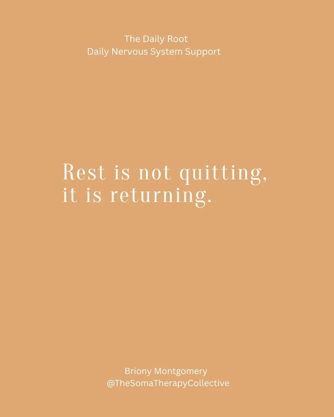 If you feel disconnected, dysregulated, or stretched thin - The Daily Root brings you home.
Daily somatic support for steadiness, power, and pleasure.

Subscribe to receive it every morning.
Link in BIO
 #RiseUpWomen #MotherWoundHealing #SomaticThera