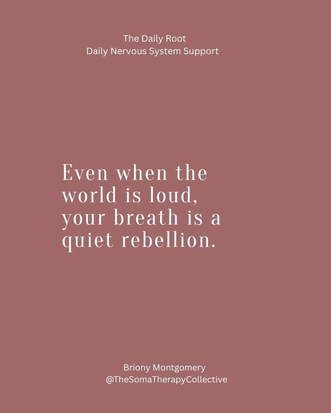 There was a time when I was consuming more than I was integrating.
Scrolling. Learning. Reading. Listening.

Always seeking the next insight, the next breakthrough, the next hit of clarity.
And yet&hellip; my nervous system was still braced.

It wasn
