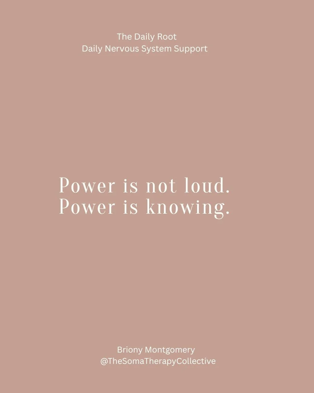 There was a time when I realised I wasn&rsquo;t just carrying my own nervous system.
I was carrying my mother&rsquo;s.
And her mother&rsquo;s.
And the ungrieved stories of the women who came before me.

The bracing.
The over-functioning.
The silence.