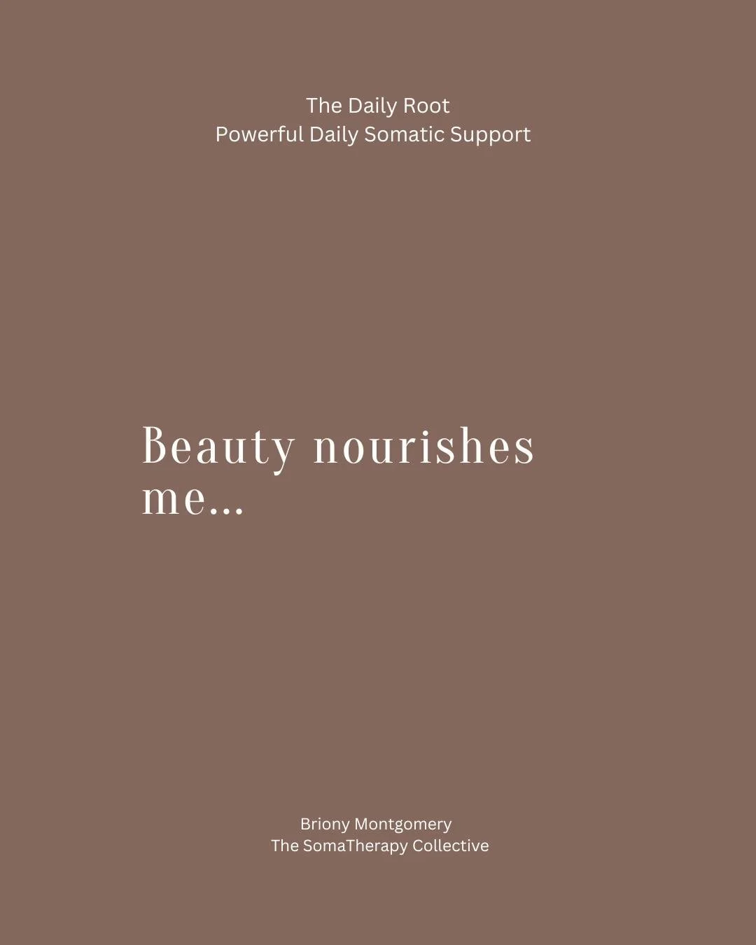 Imagine beginning your day feeling:
grounded
clear
calm
connected to your power

Instead of waking up already overwhelmed.

The Daily Root is daily nervous system nourishment delivered straight to your inbox.
Short reflections.
Somatic practices.
Poe