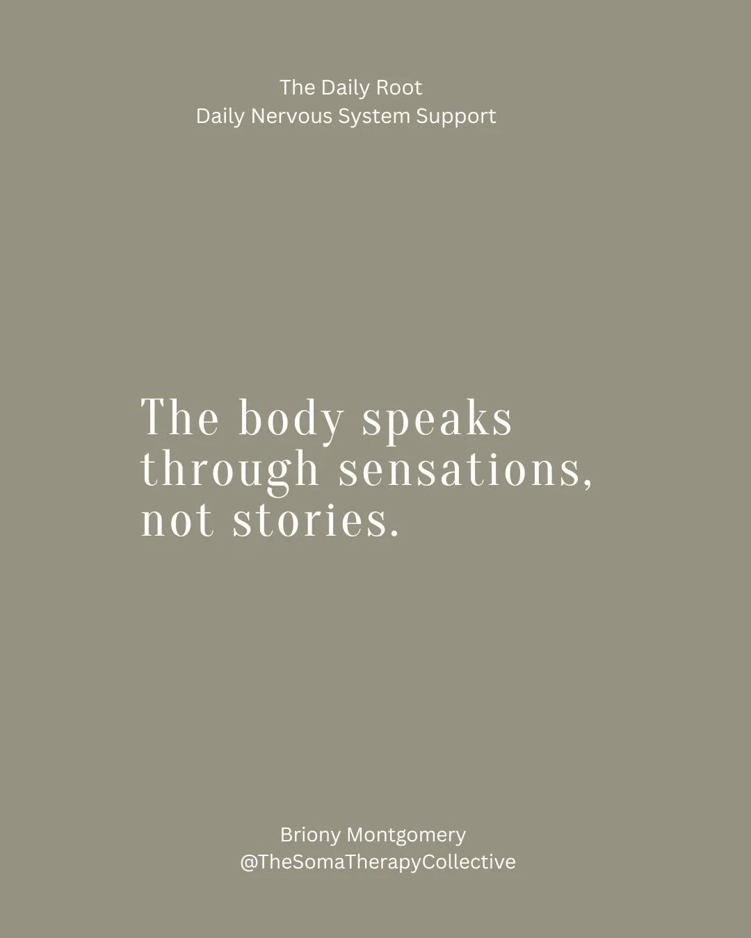 What if your healing didn&rsquo;t have to feel heavy all the time?

What if it could include pleasure, softness and breath?

The Daily Root offers small daily practices that help your body move from stress into nourishment.
Because healing isn&rsquo;