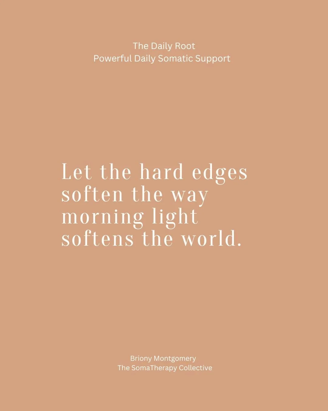 Your nervous system deserves daily care.
Not just when you&rsquo;re overwhelmed.
Not just when things fall apart.
Every day.

The Daily Root is a simple daily practice of grounding, reflection, somatic support and gentle wisdom to help you stay conne