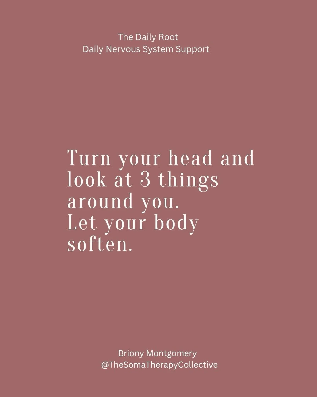 Your nervous system was never designed to hold the weight of the world alone.

Yet so many of us wake up already overwhelmed, rushing into the day before our body has even had a chance to land.
The Daily Root is a simple daily email offering gentle g