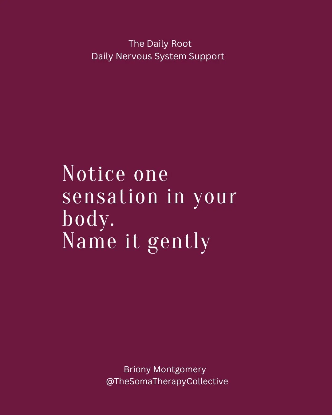 You don&rsquo;t need another thing to fix yourself.
You need something that meets you
in the moment your chest tightens,
your thoughts spiral,
and your body says &ldquo;this is too much.&rdquo;
The Daily Root is that place.
A free daily drop of groun