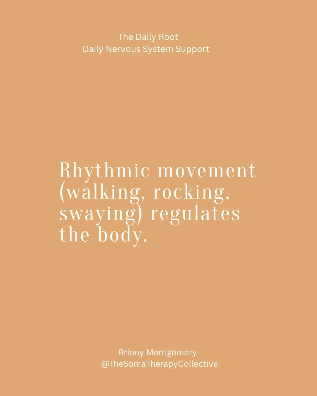 If your day starts with overwhelm,
scrolling,
or already feeling behind&hellip;
This is your interruption.
A daily moment to come back into your body.
Into breath.
Into steadiness.

The Daily Root - free, simple, powerful.
Join here. Link IN BIO
 #so