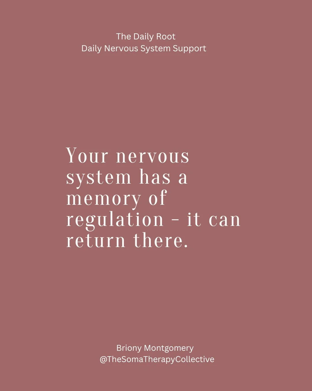 You&rsquo;re not lazy.
You&rsquo;re not broken.
You&rsquo;re dysregulated.
And no one ever taught you how to come back.

The Daily Root changes that - gently, daily.
Get free daily support straight to your inbox.
Link In BIO
 #somatictherapy #nervous