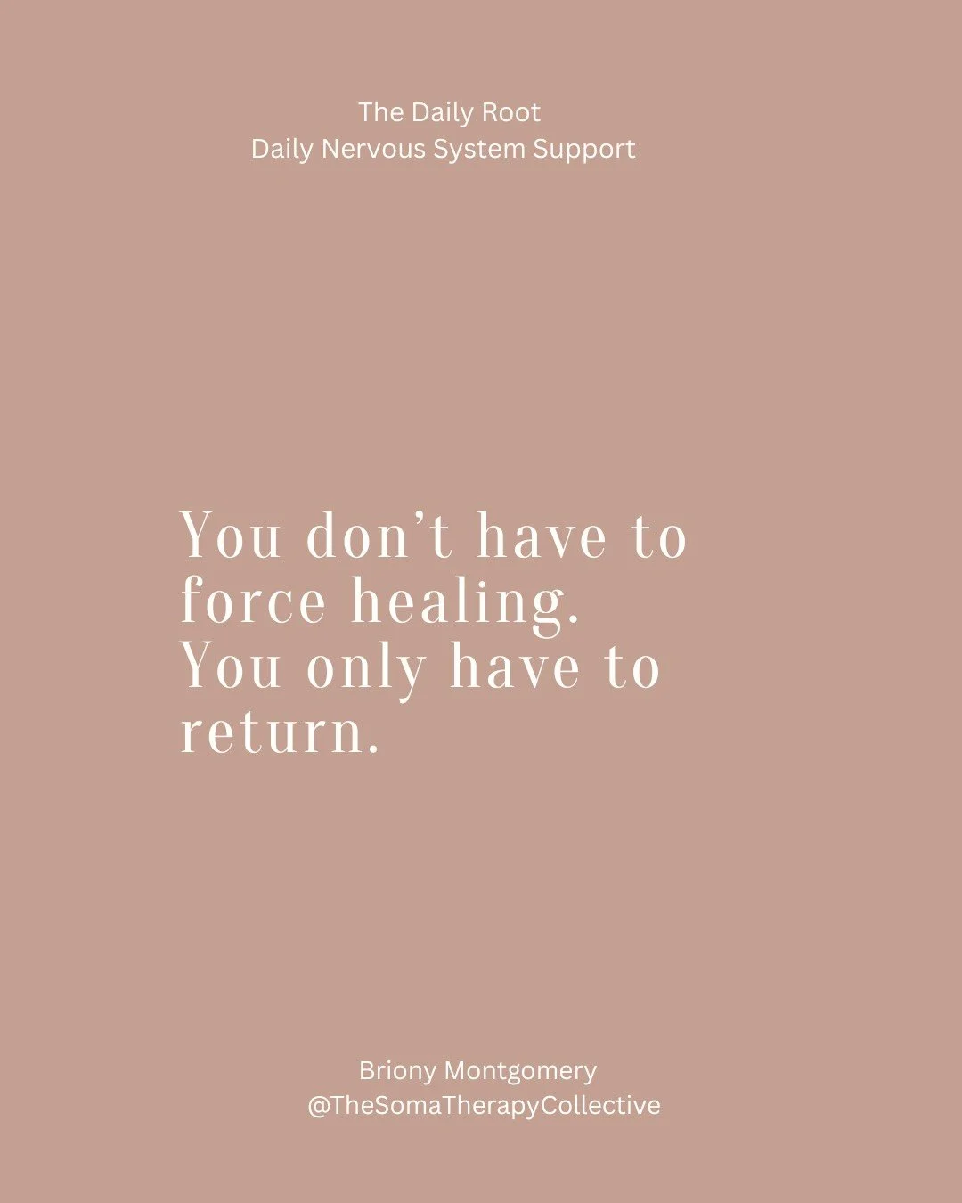 Not everything needs a 10-step plan.
Sometimes you just need one sentence
that lands.
One breath.
One moment of truth.
That&rsquo;s what The Daily Root is.

Join for free daily support.
Link In BIO
 #somatictherapy #nervoussystemsupport #healing #emb